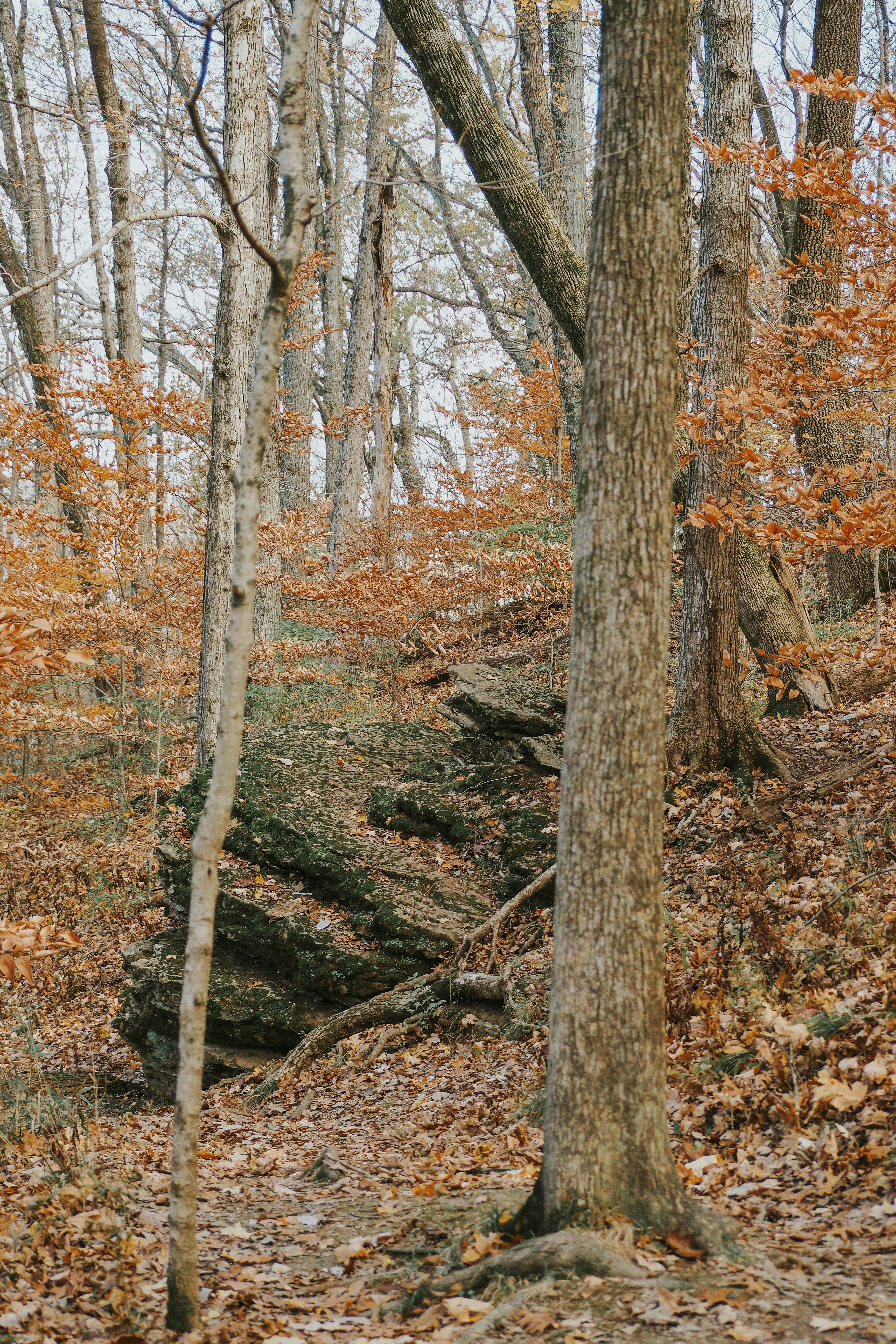 Photo by fieldworkframes