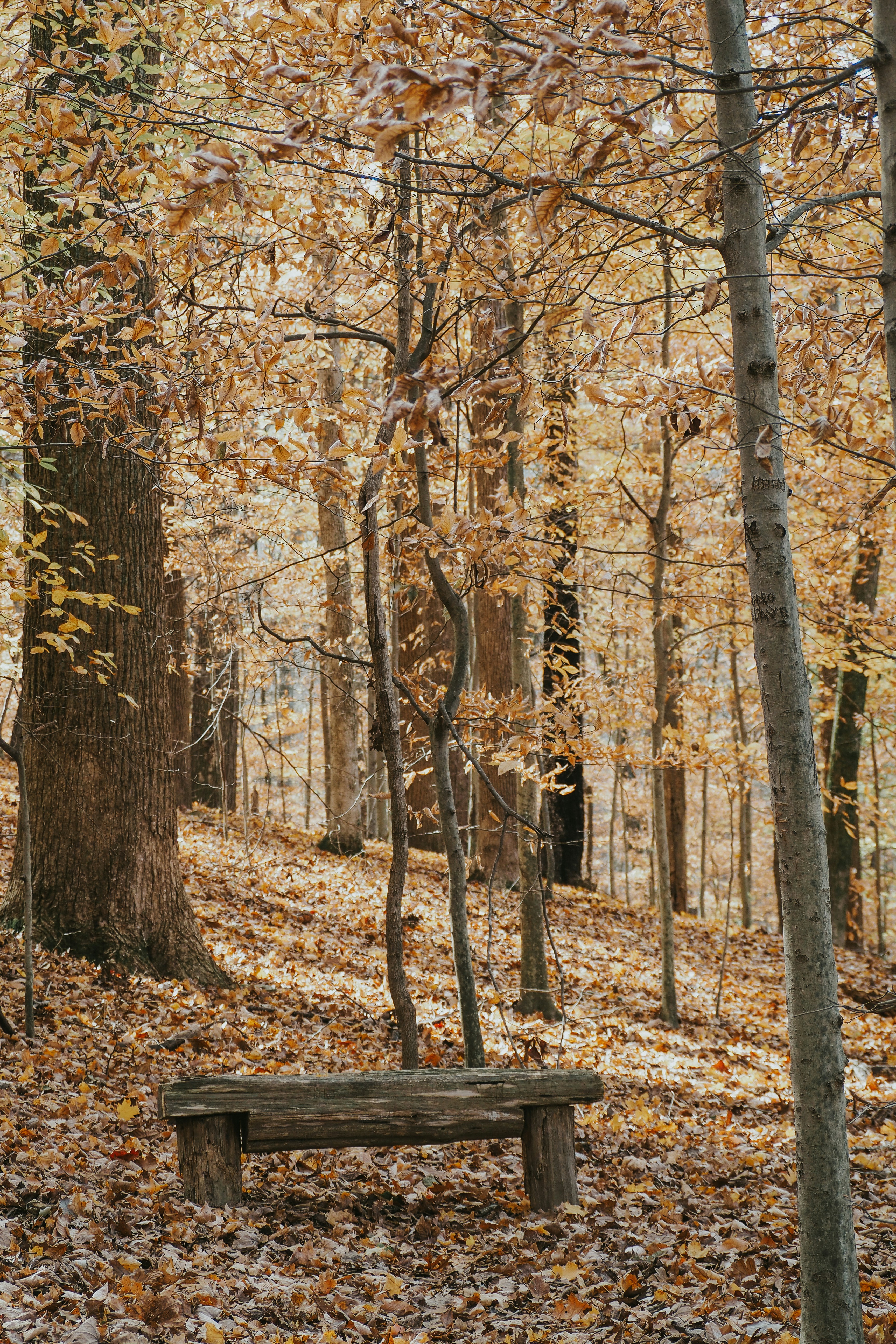 Photo by fieldworkframes