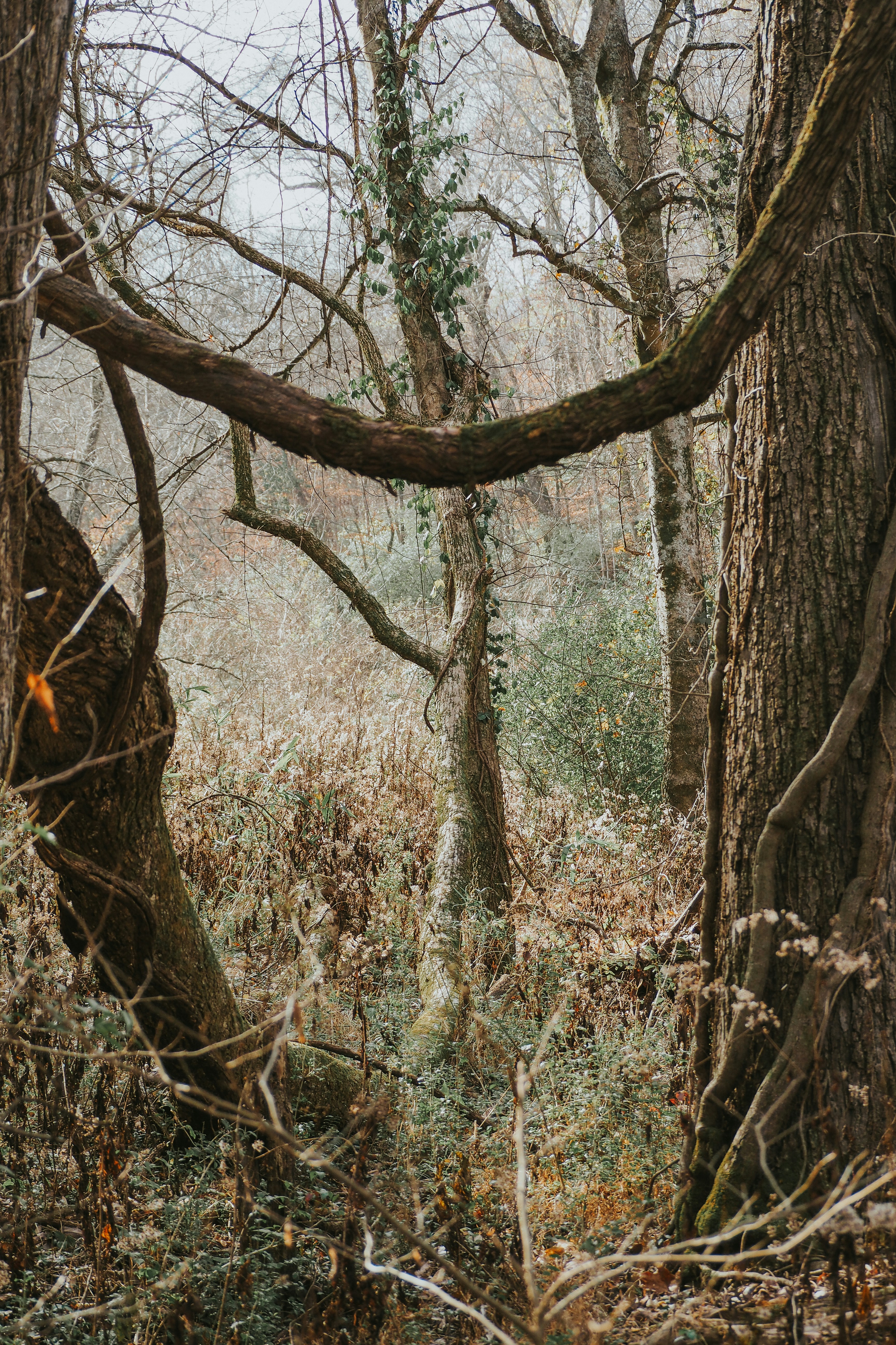 Photo by fieldworkframes