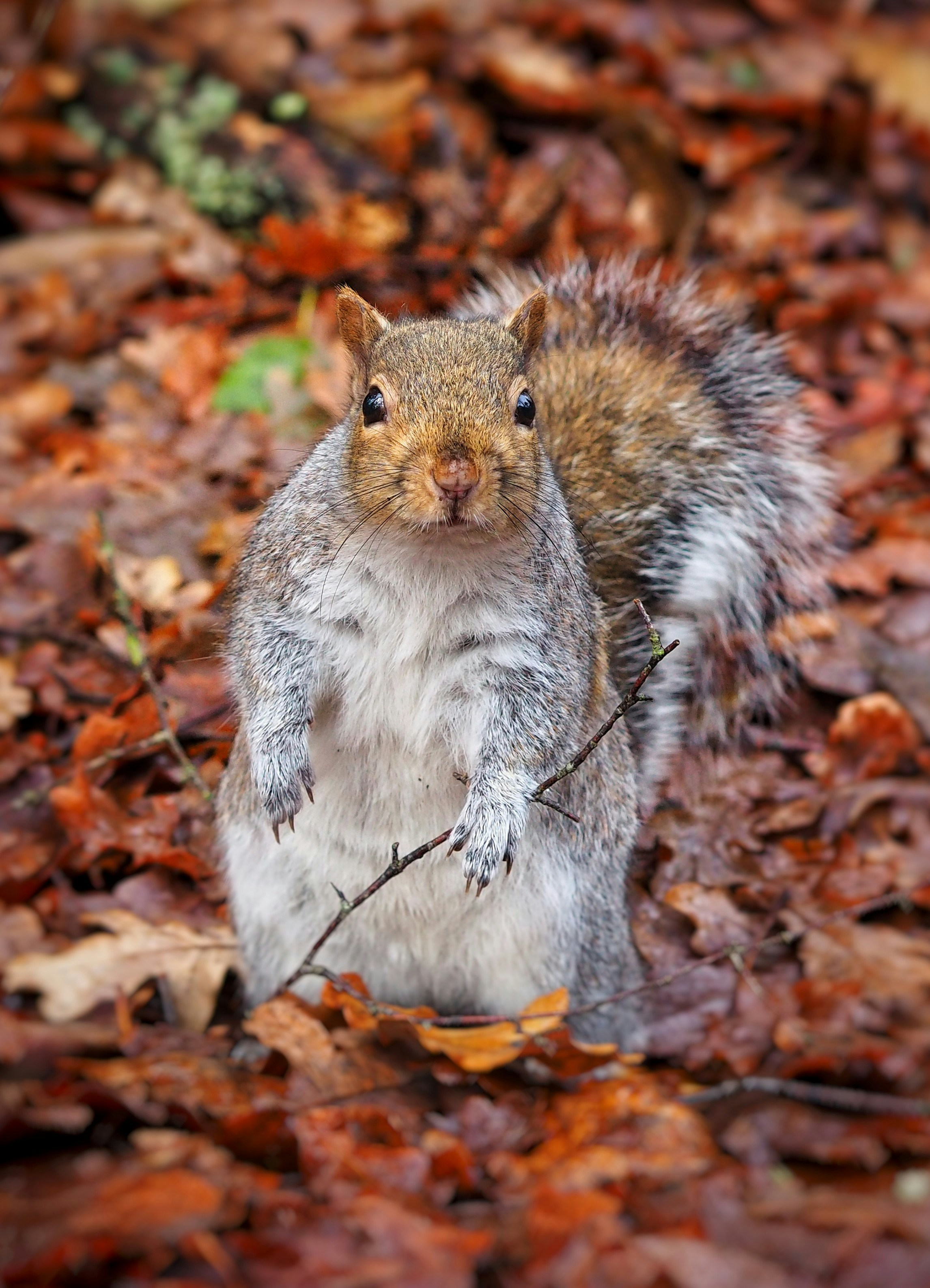 Photo by louiseellisphotography