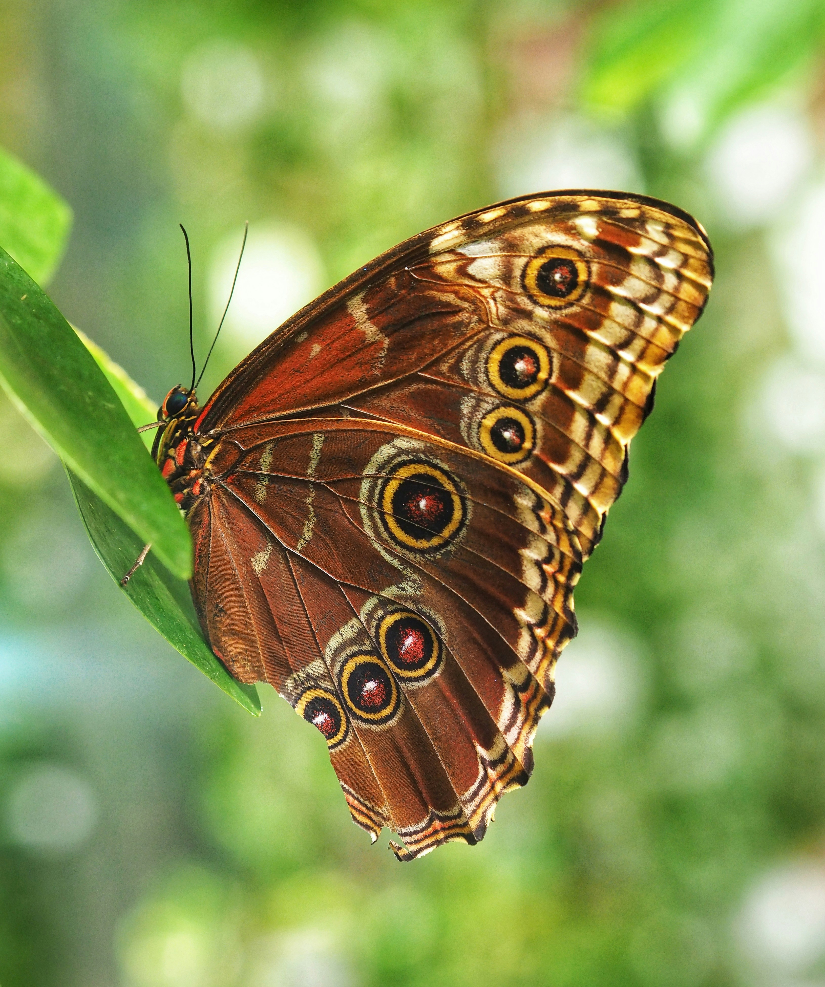 Photo by louiseellisphotography