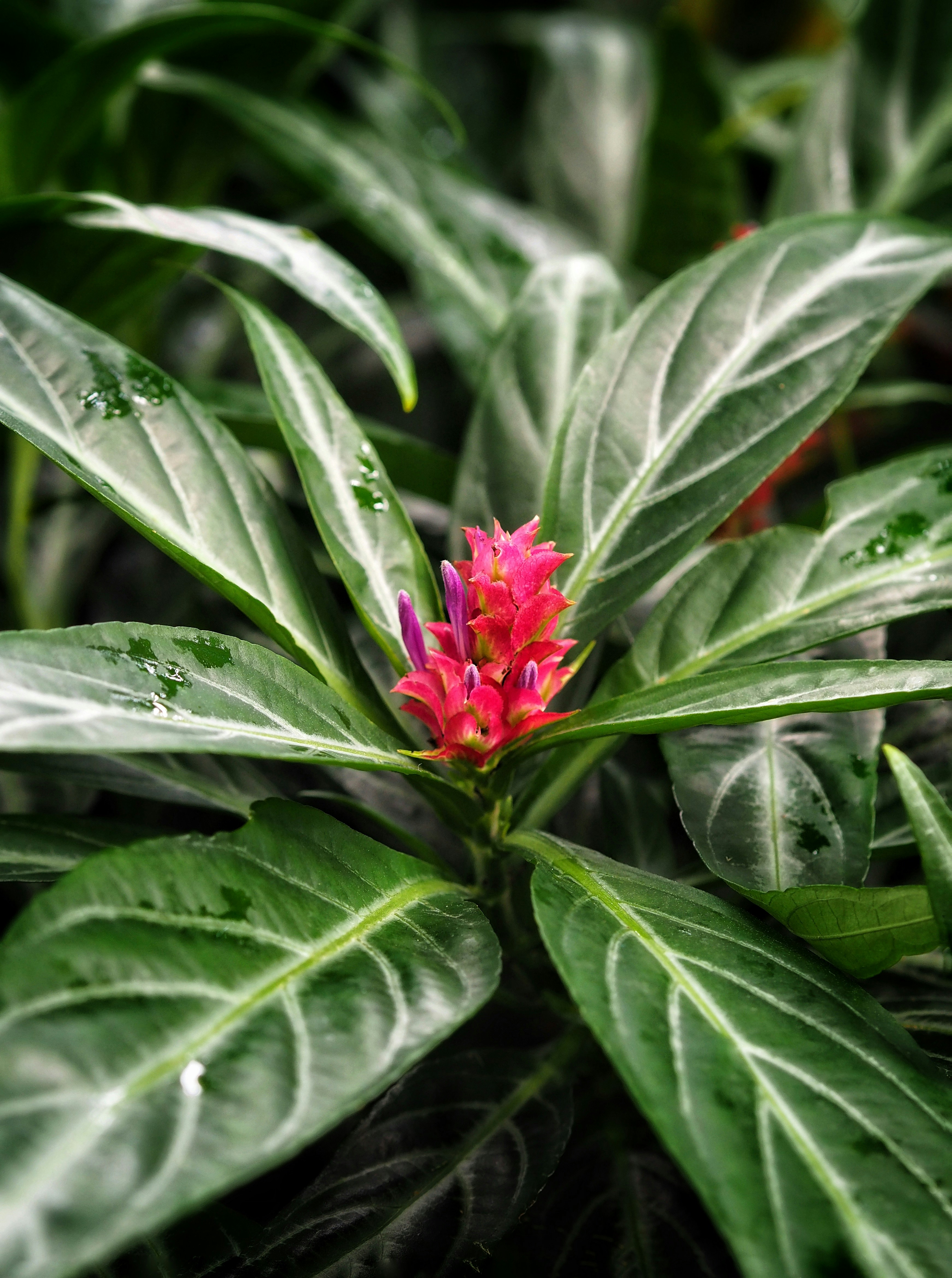 Photo by louiseellisphotography