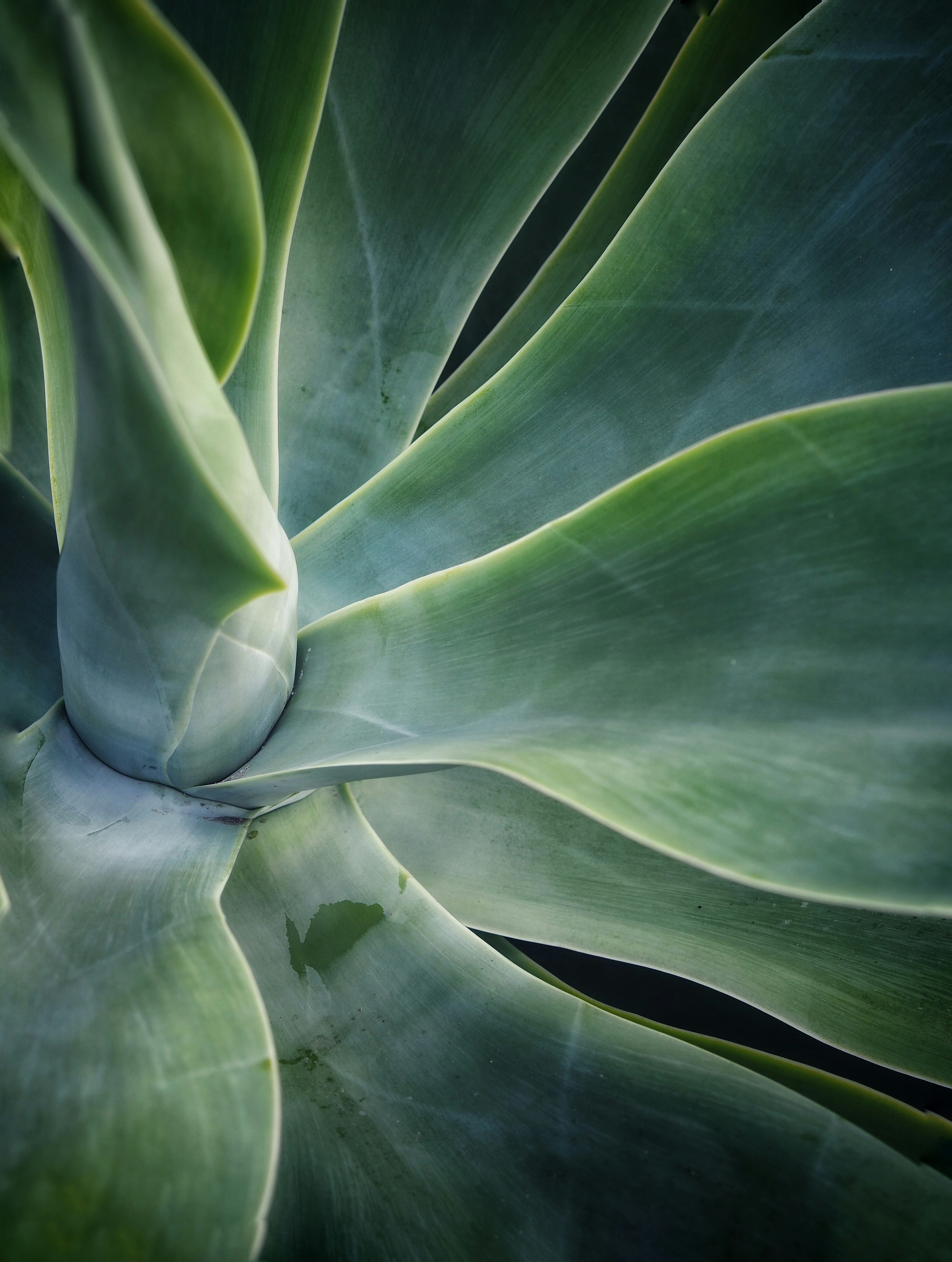 Photo by louiseellisphotography