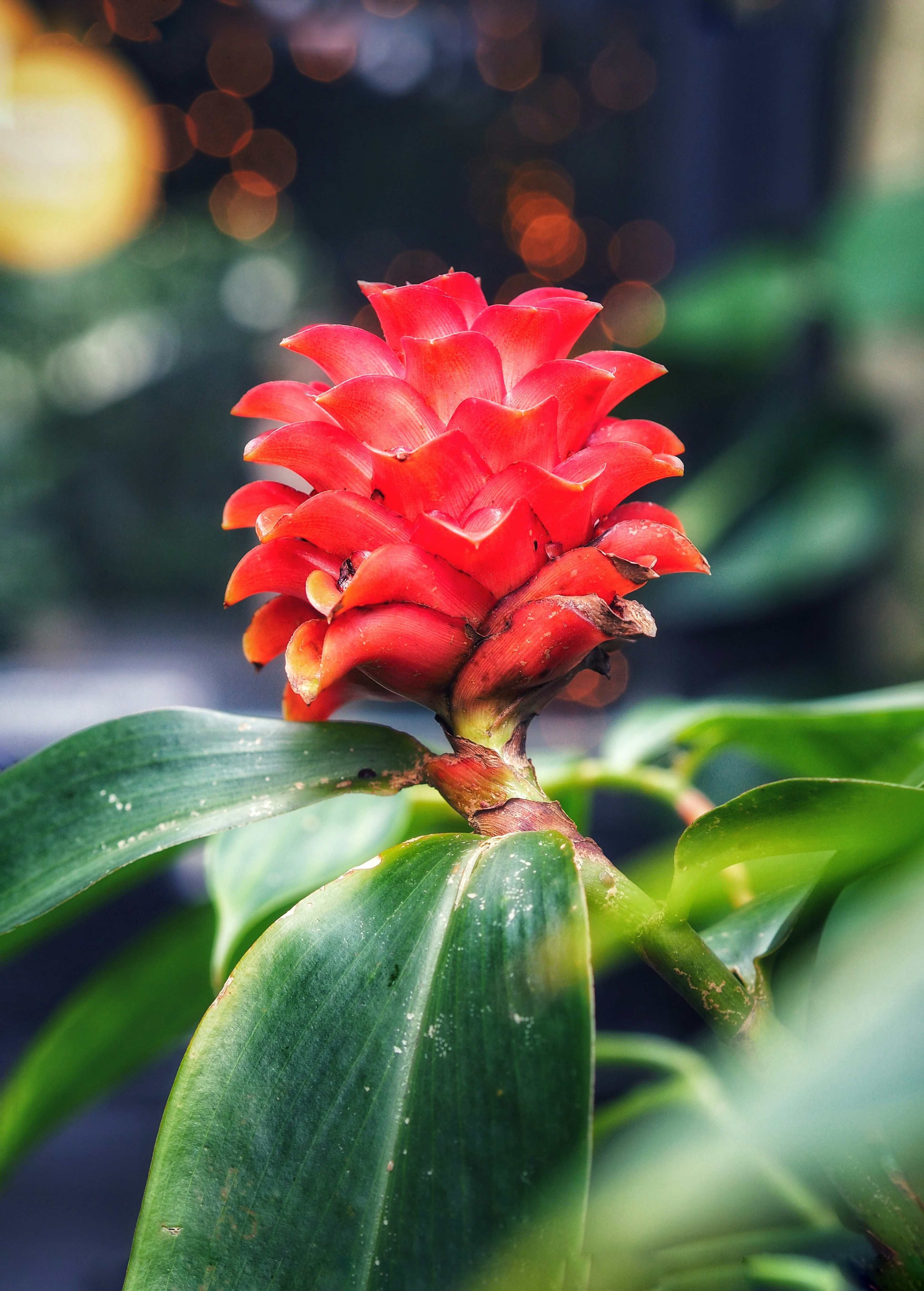 Photo by louiseellisphotography