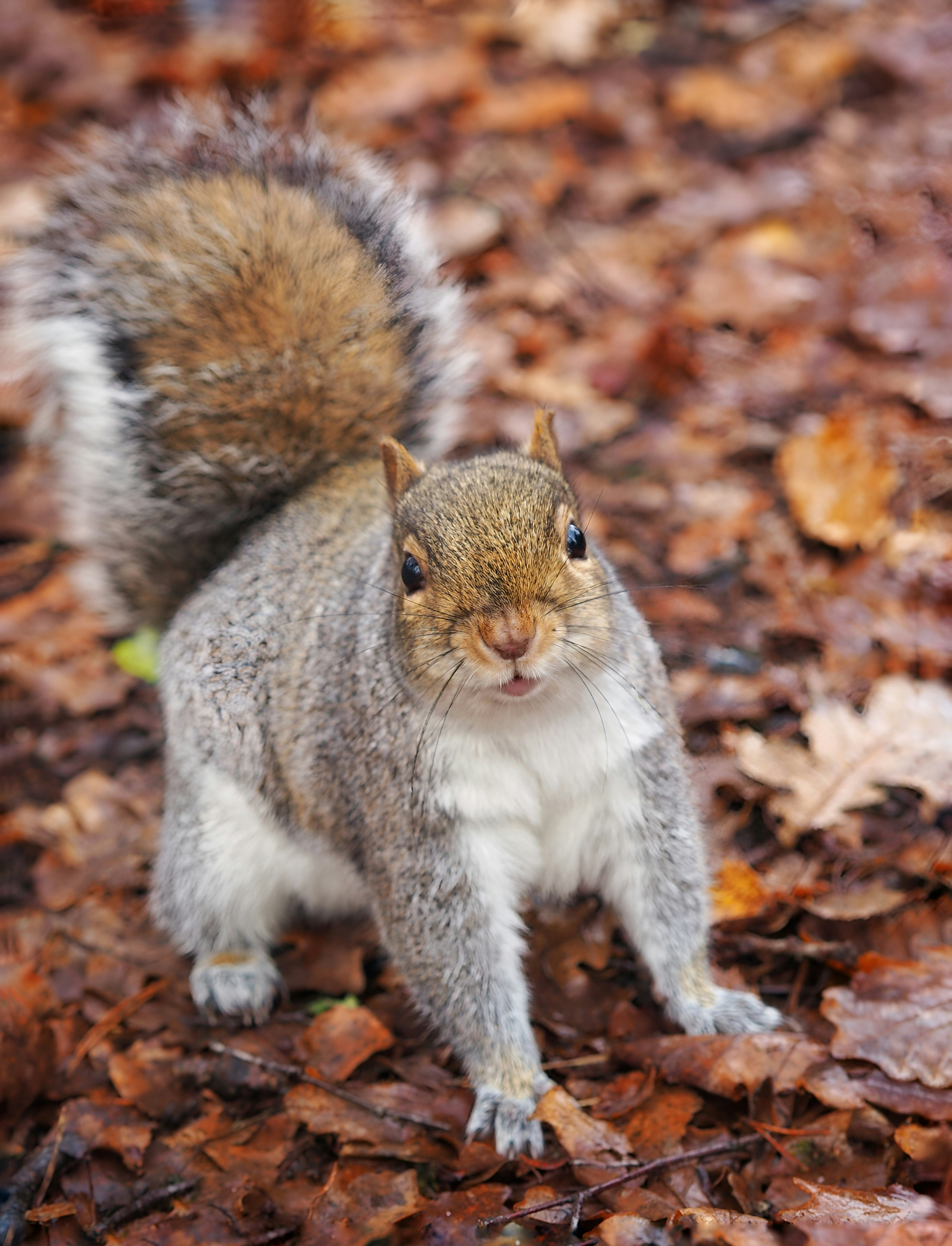 Photo by louiseellisphotography