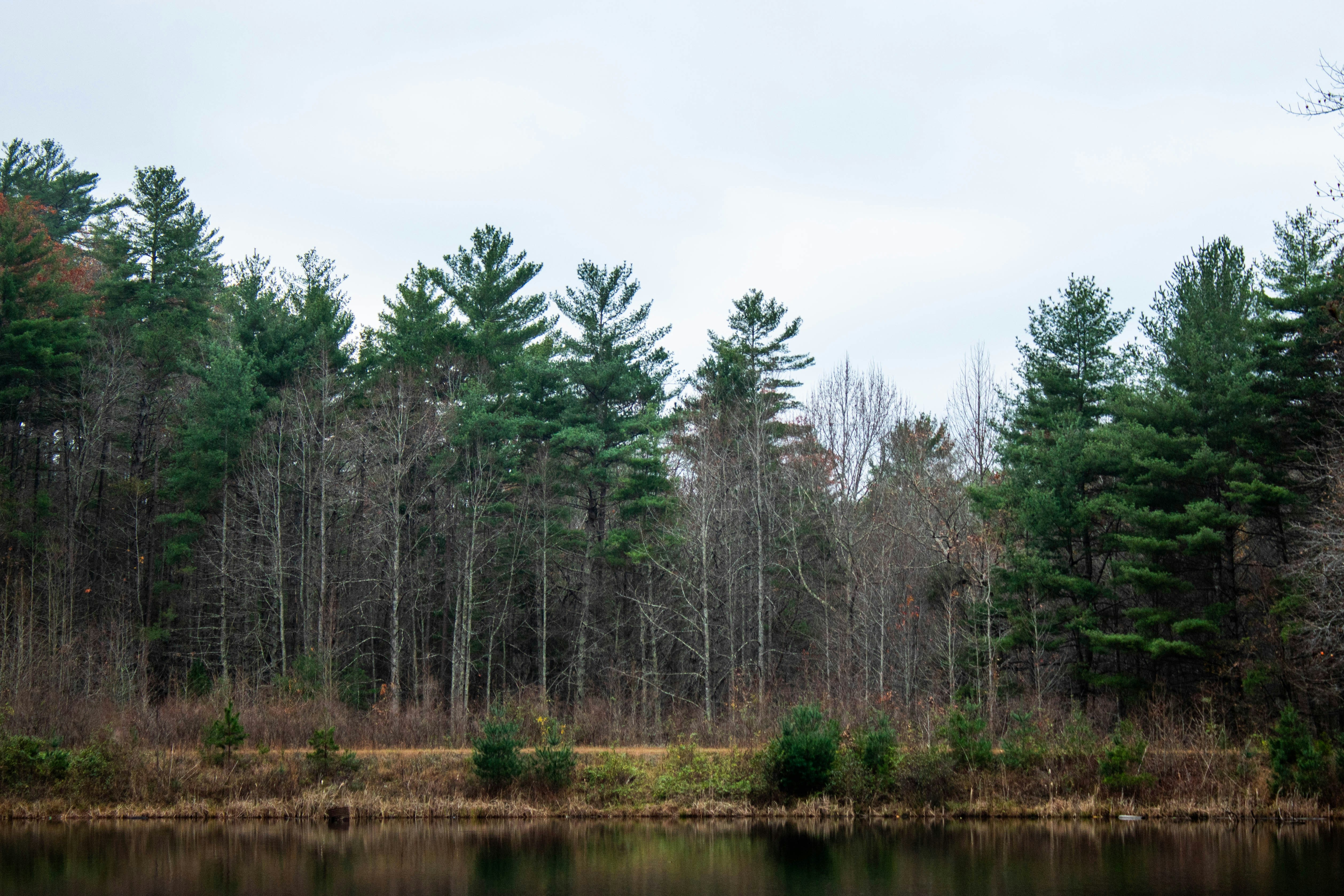 Photo by gabriel_soto