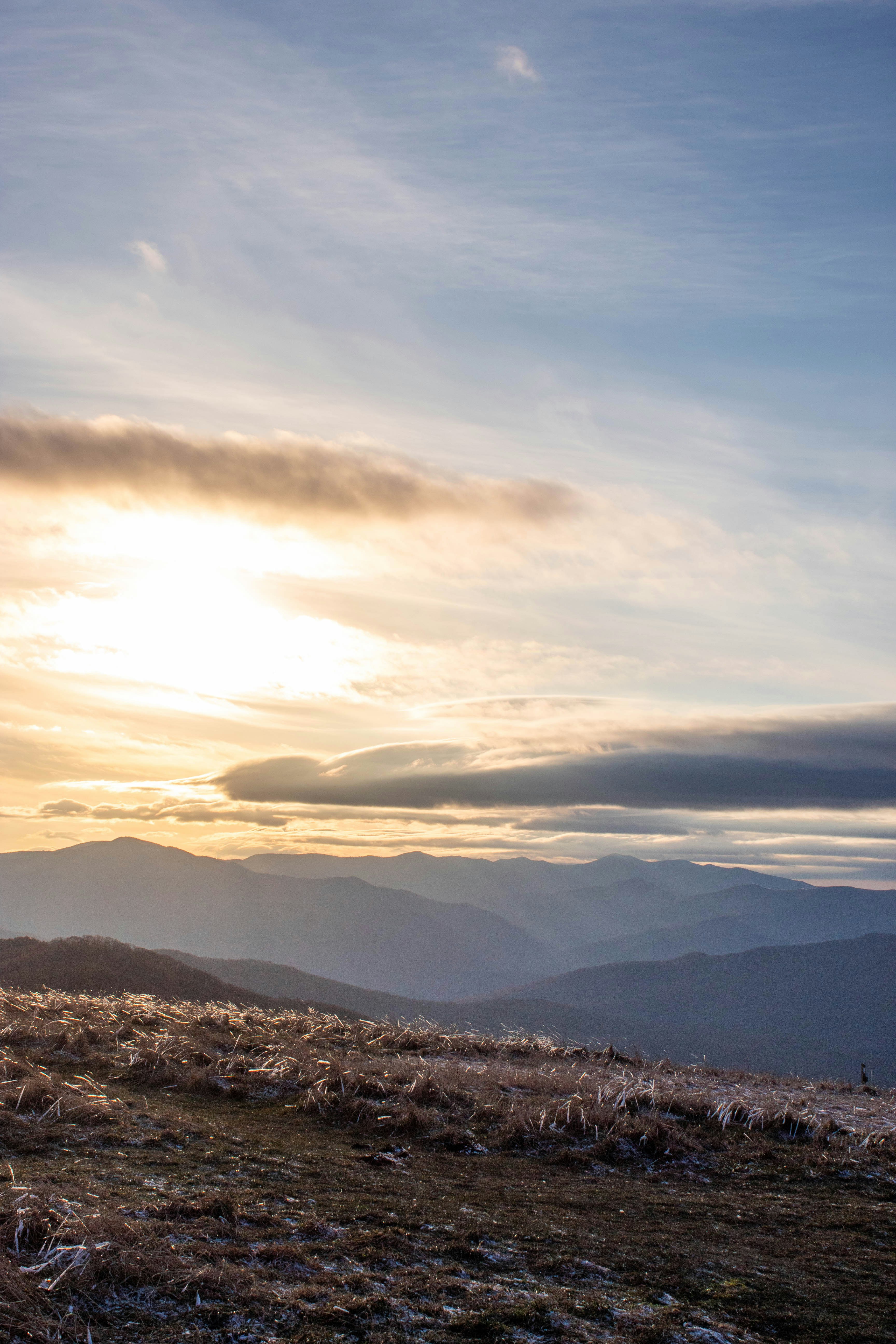 Photo by gabriel_soto