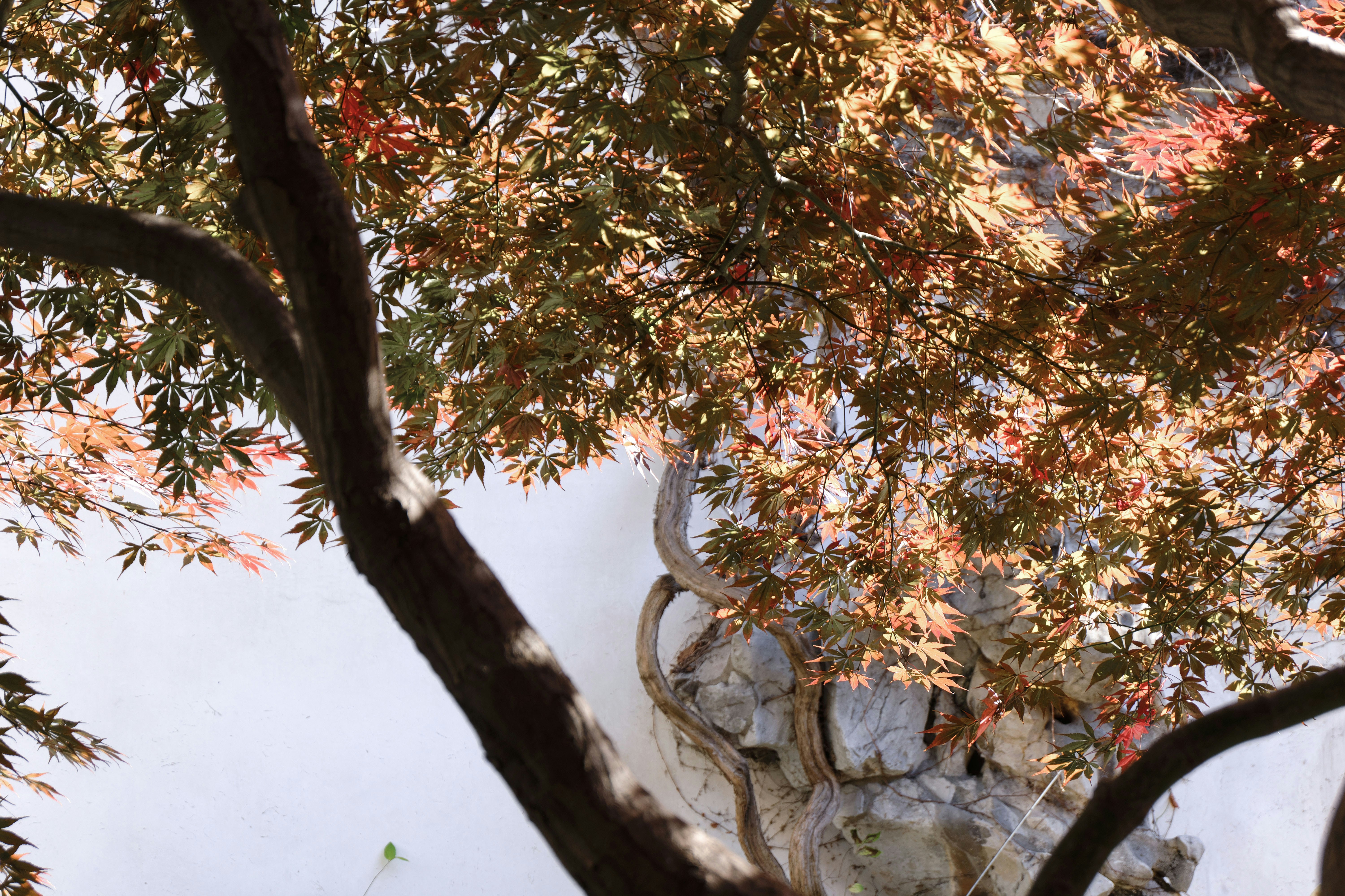 蛤？你還在這樣用衛生紙？99%的人都不知道的超省妙招！