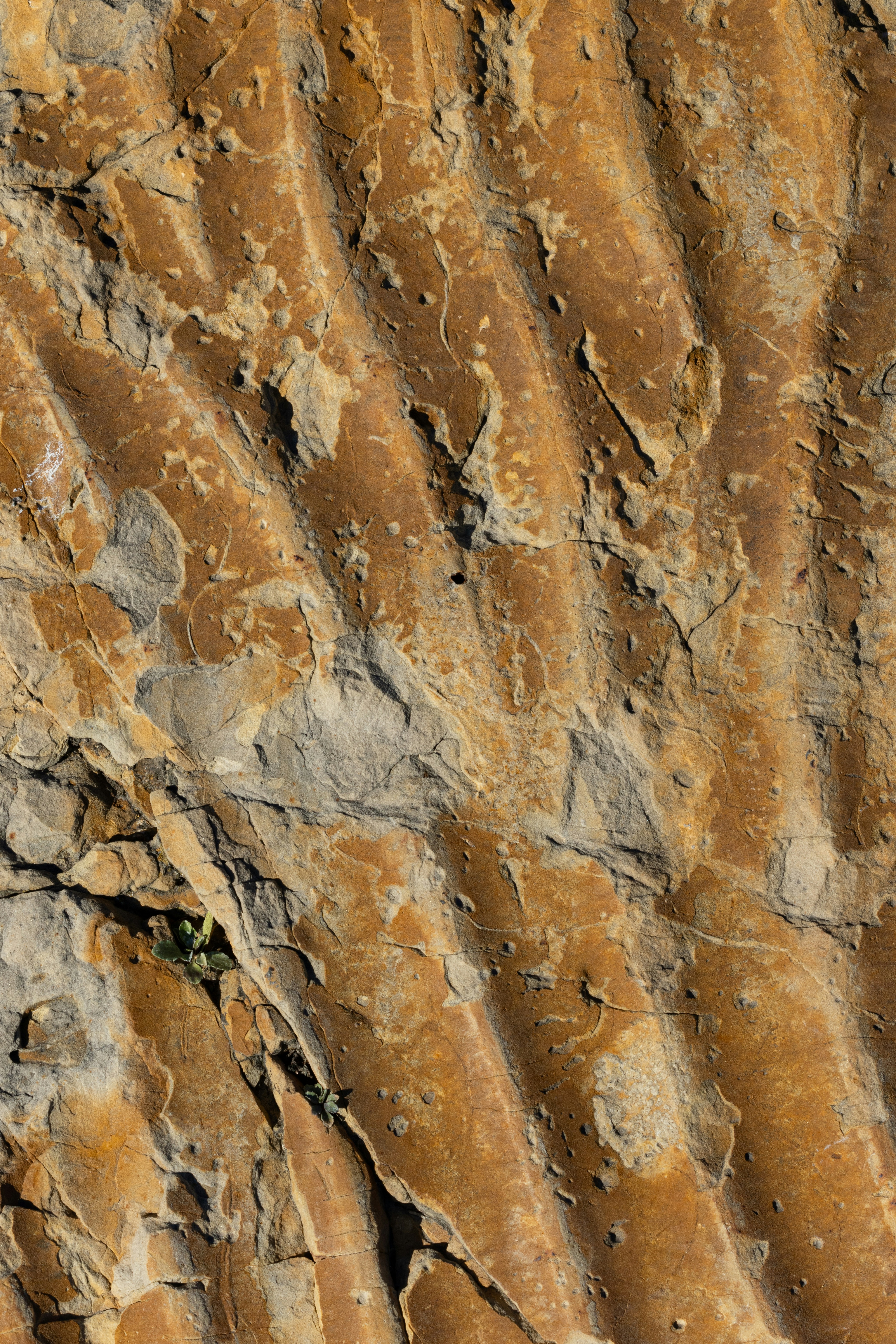 Photo by brandonstoll