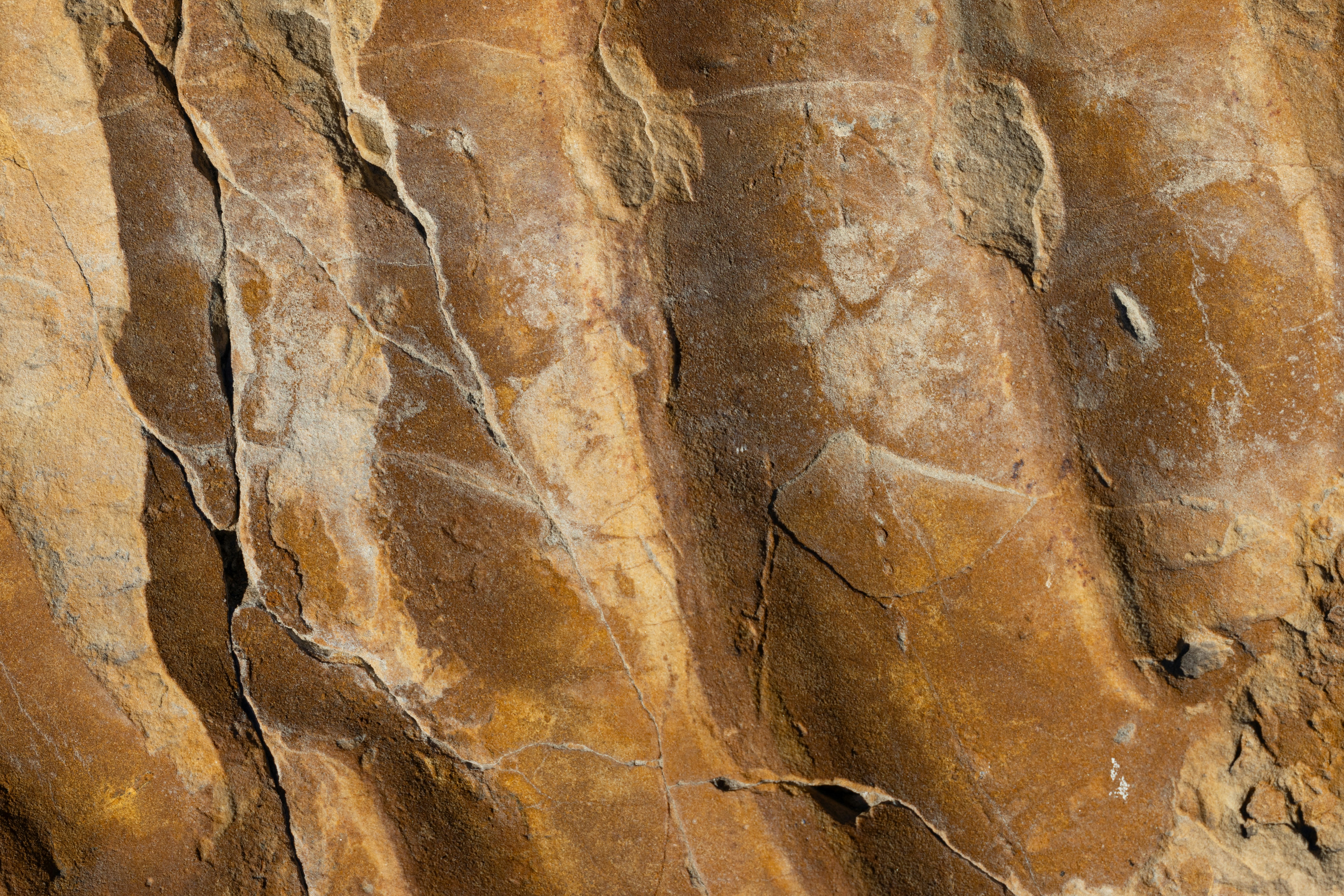 Photo by brandonstoll