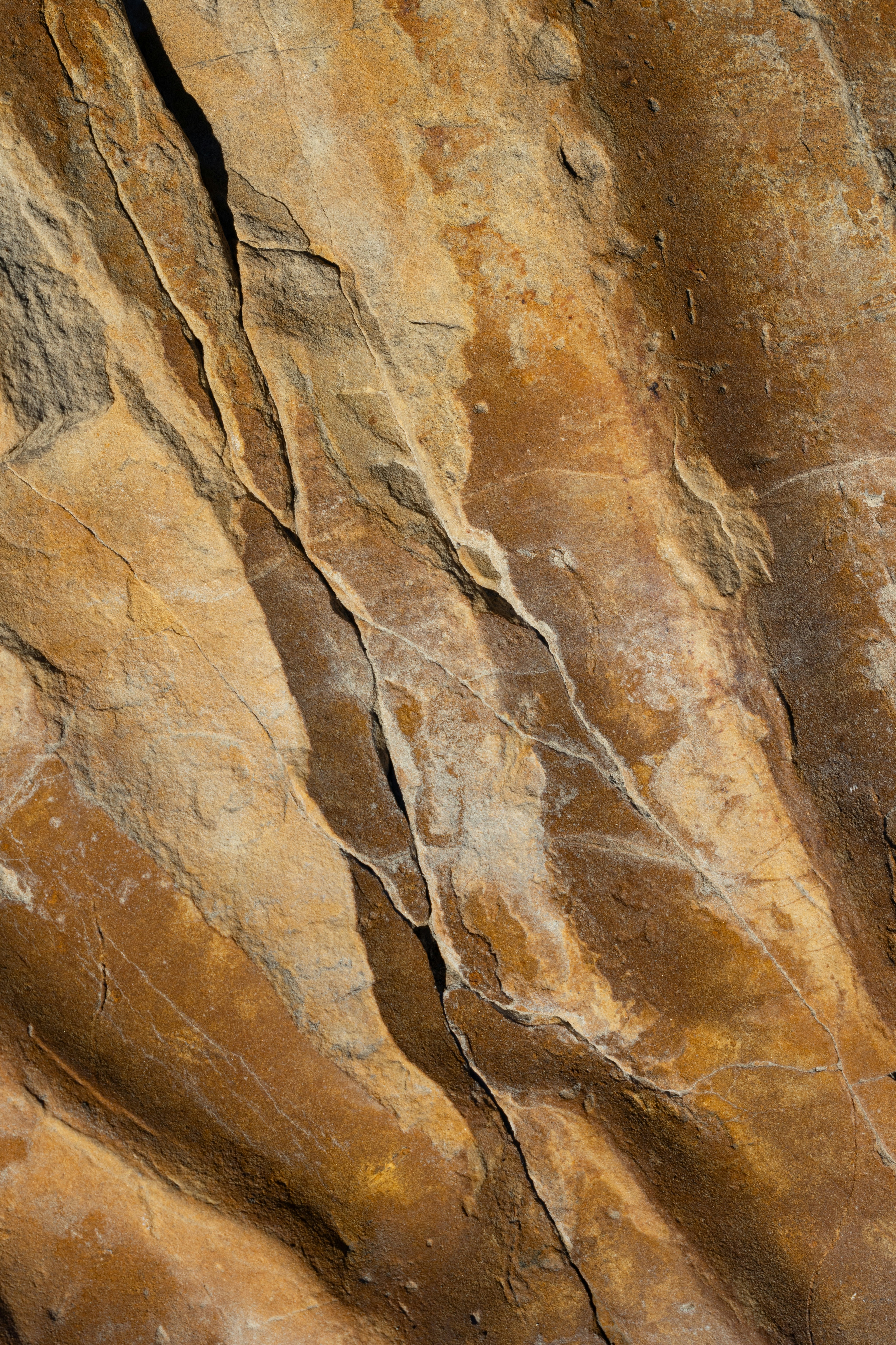A bird is perched on a rock wall