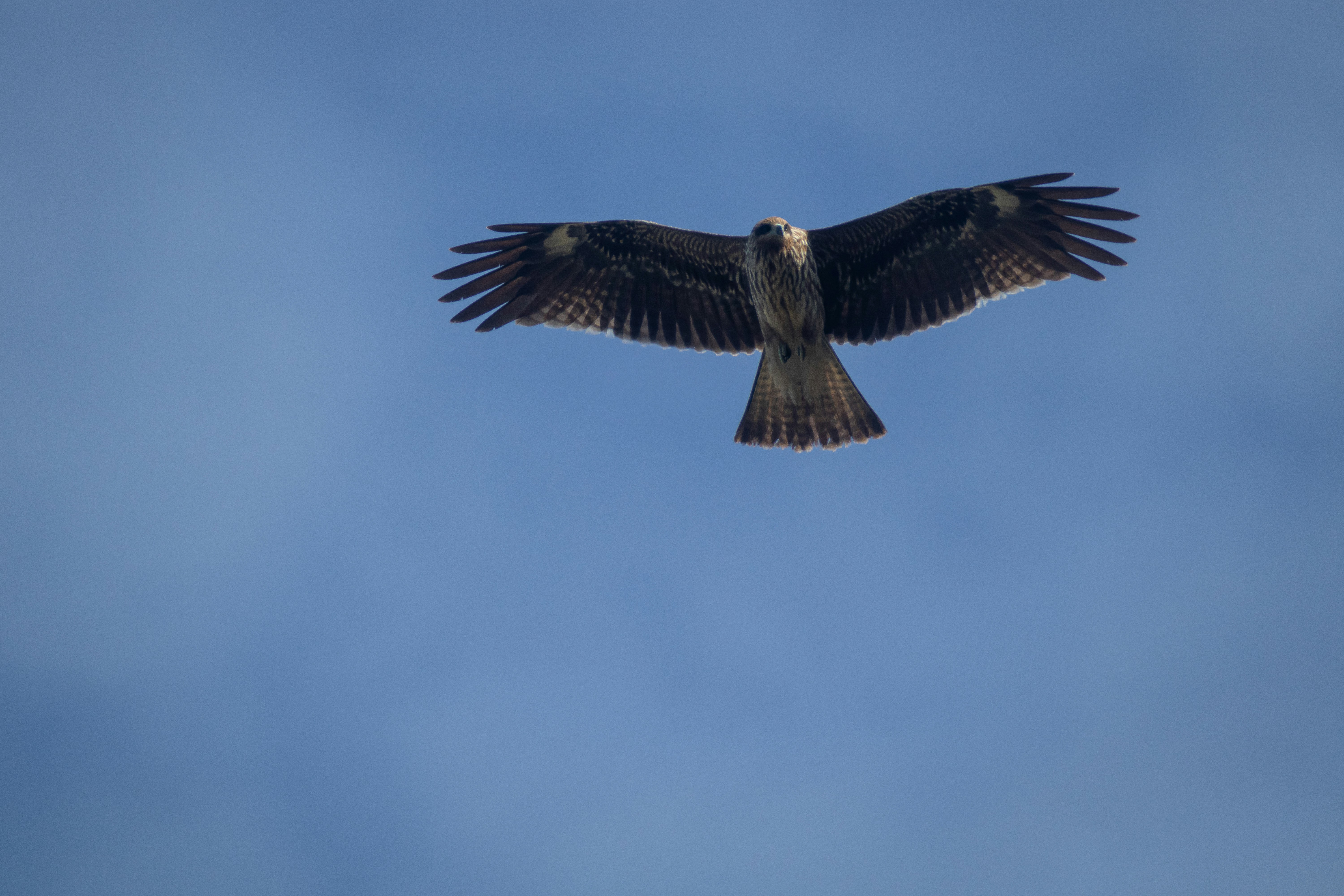 Photo by keita_yoshida_jha