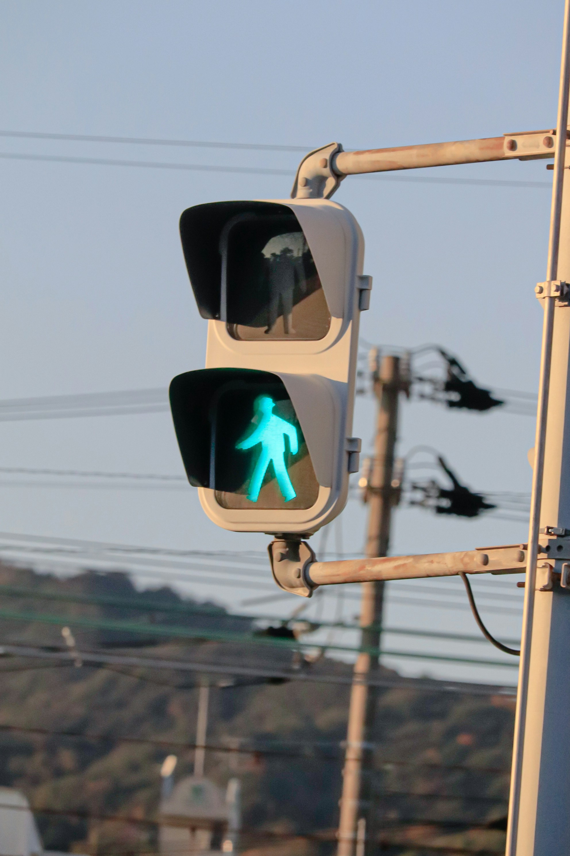 Un semáforo con un letrero peatonal verde