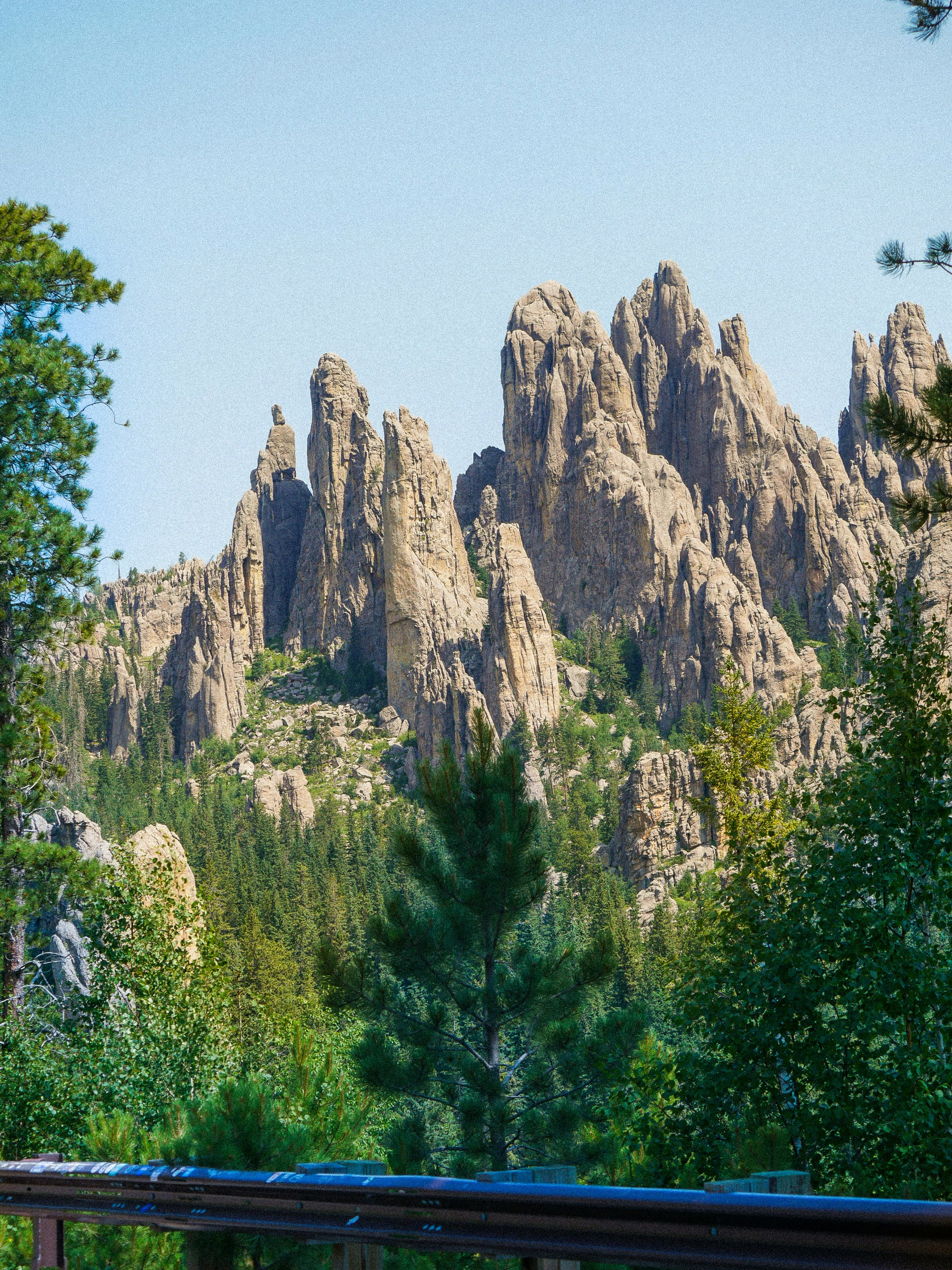 A scenic view of a mountain range with trees in the foreground