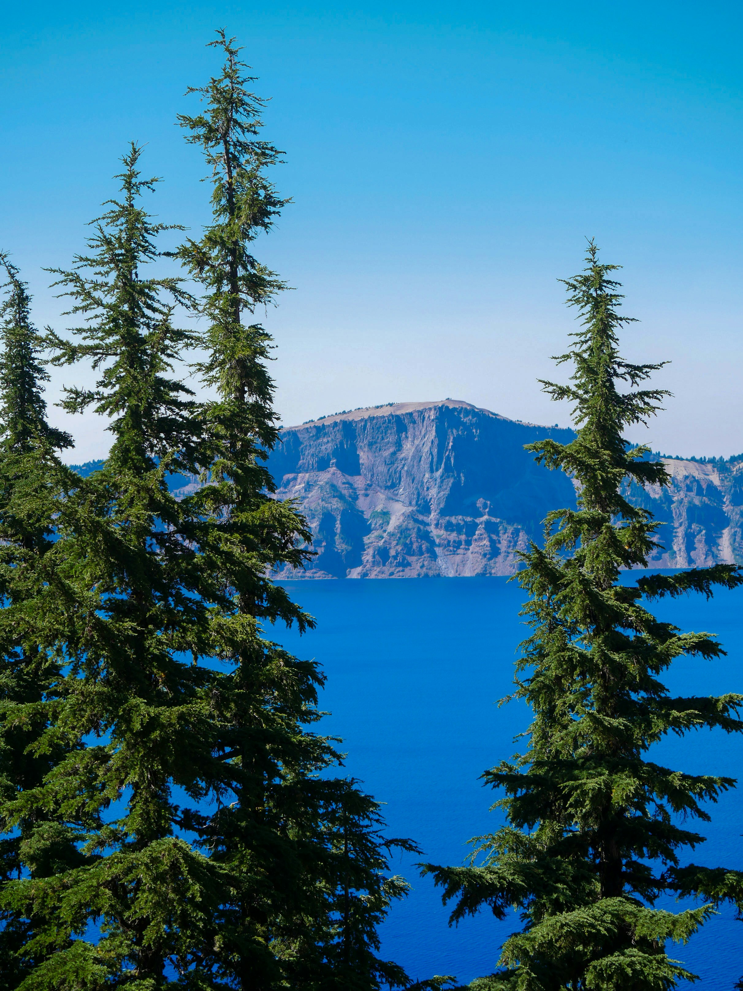 Photo by sophiadidonato