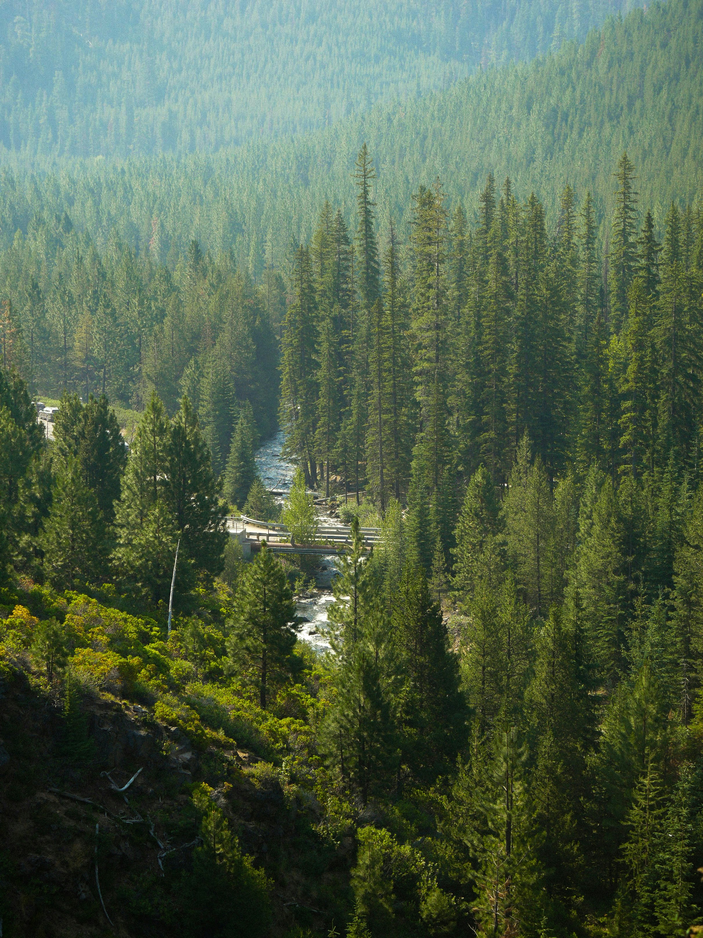 Photo by sophiadidonato