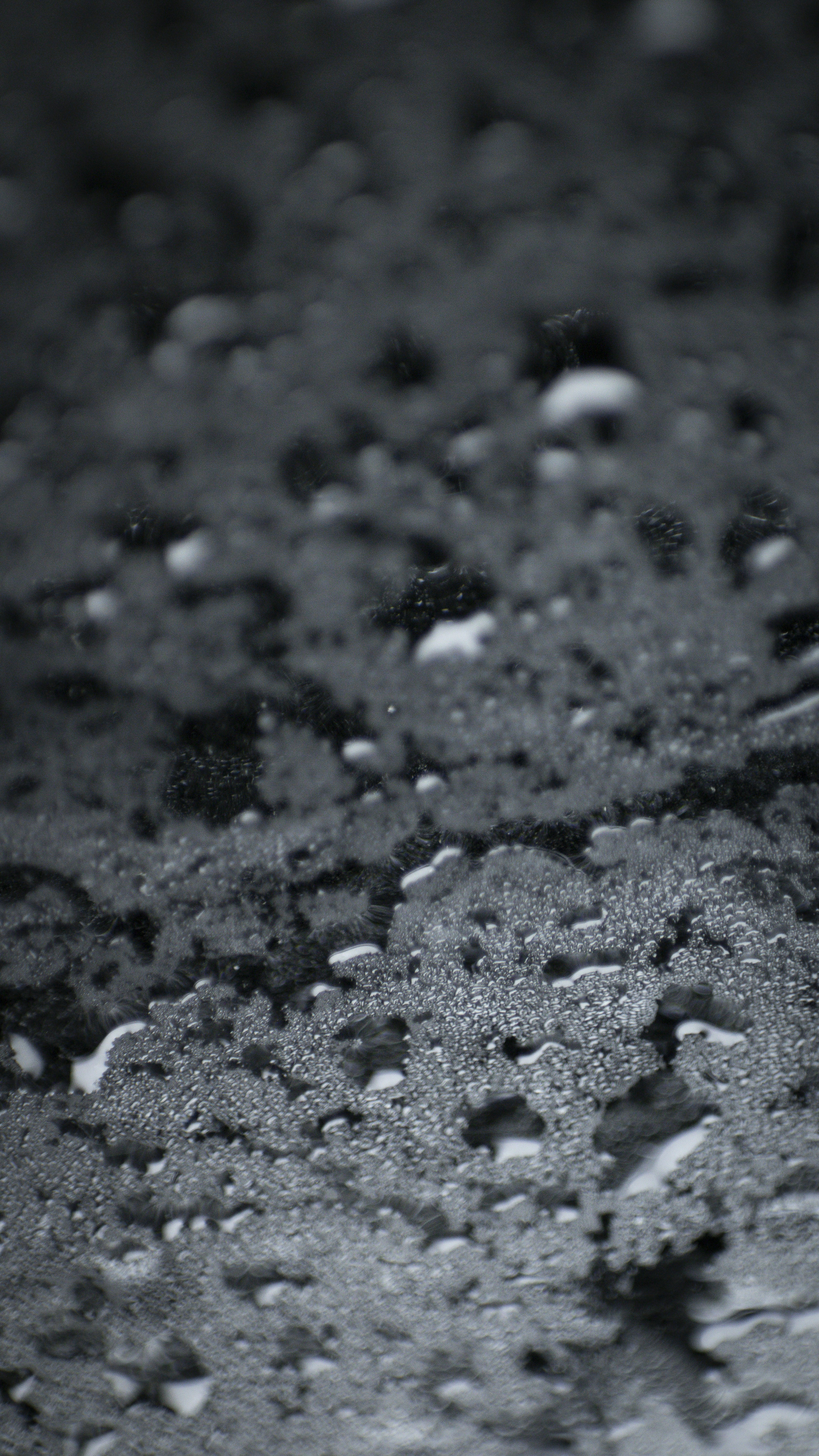 Photo by one23four56