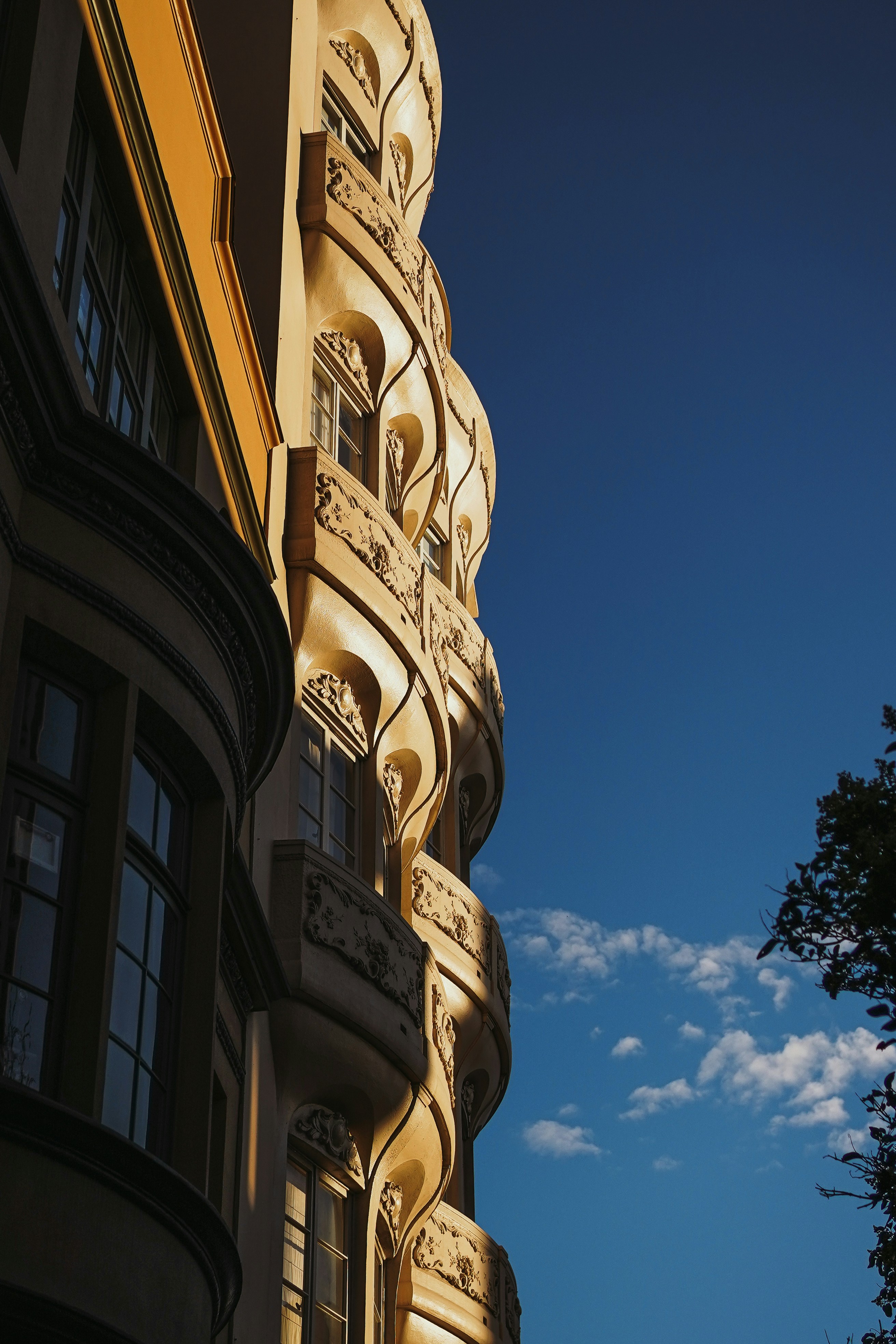 Photo by kalaniparker