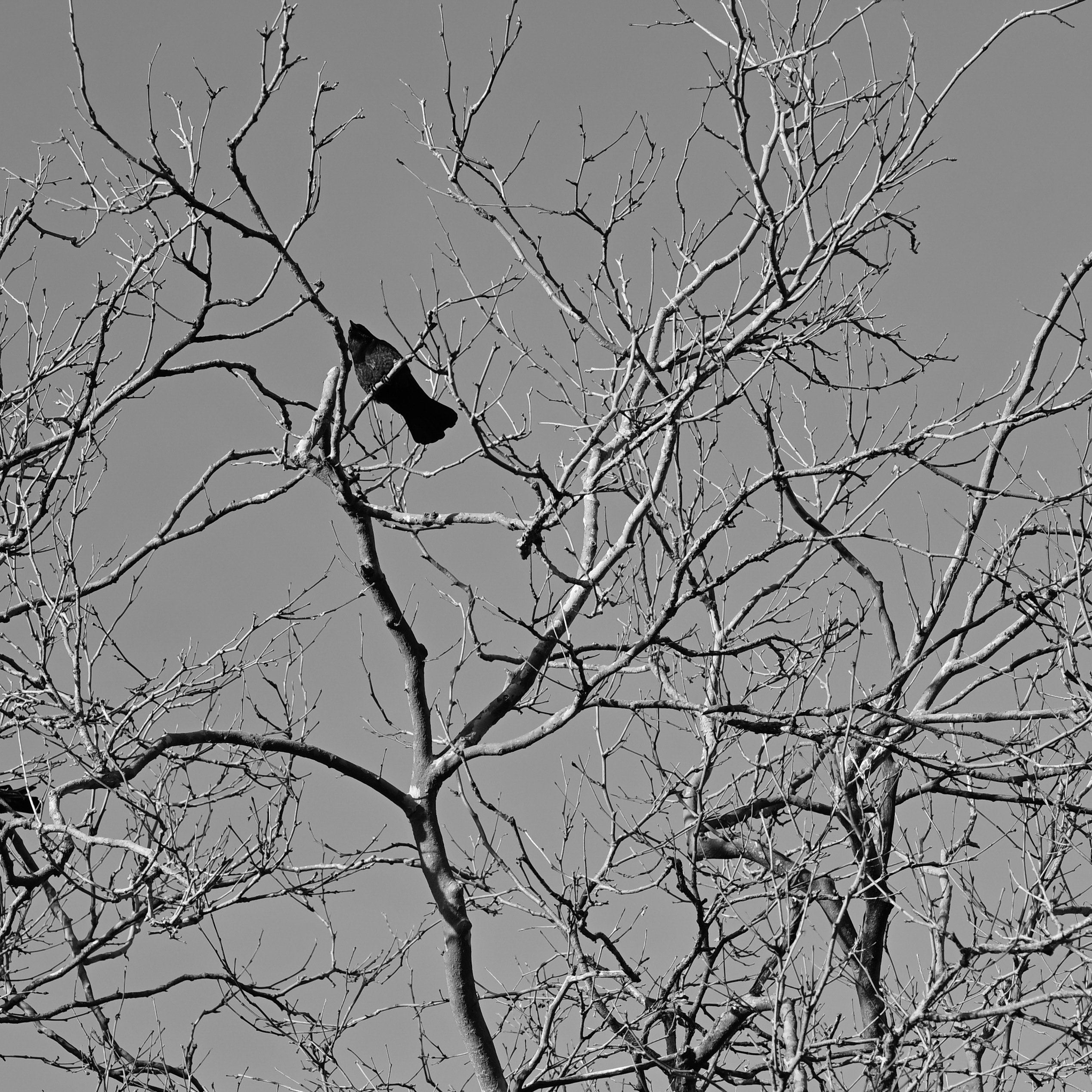 Photo by jonathankslim