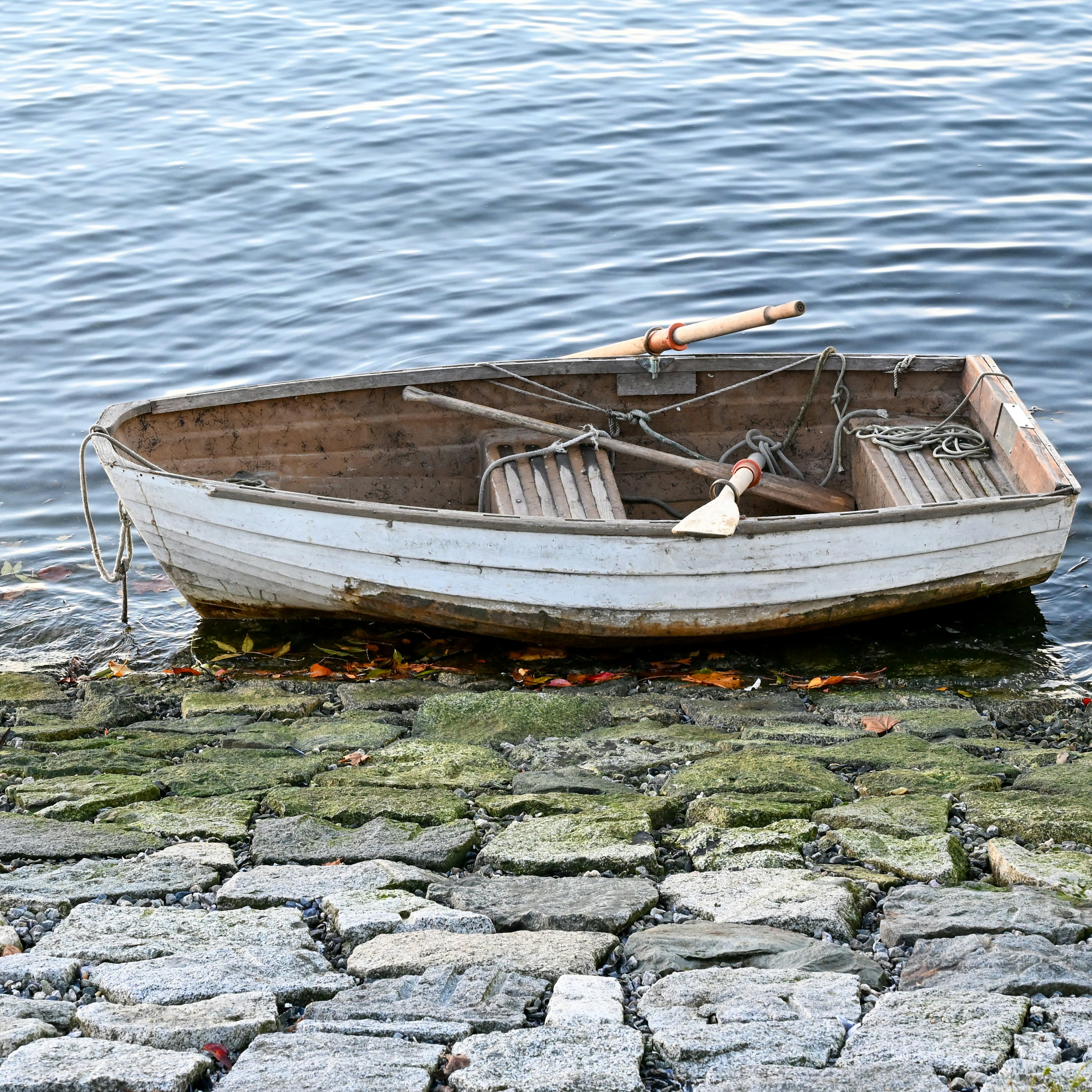 Photo by jonathankslim