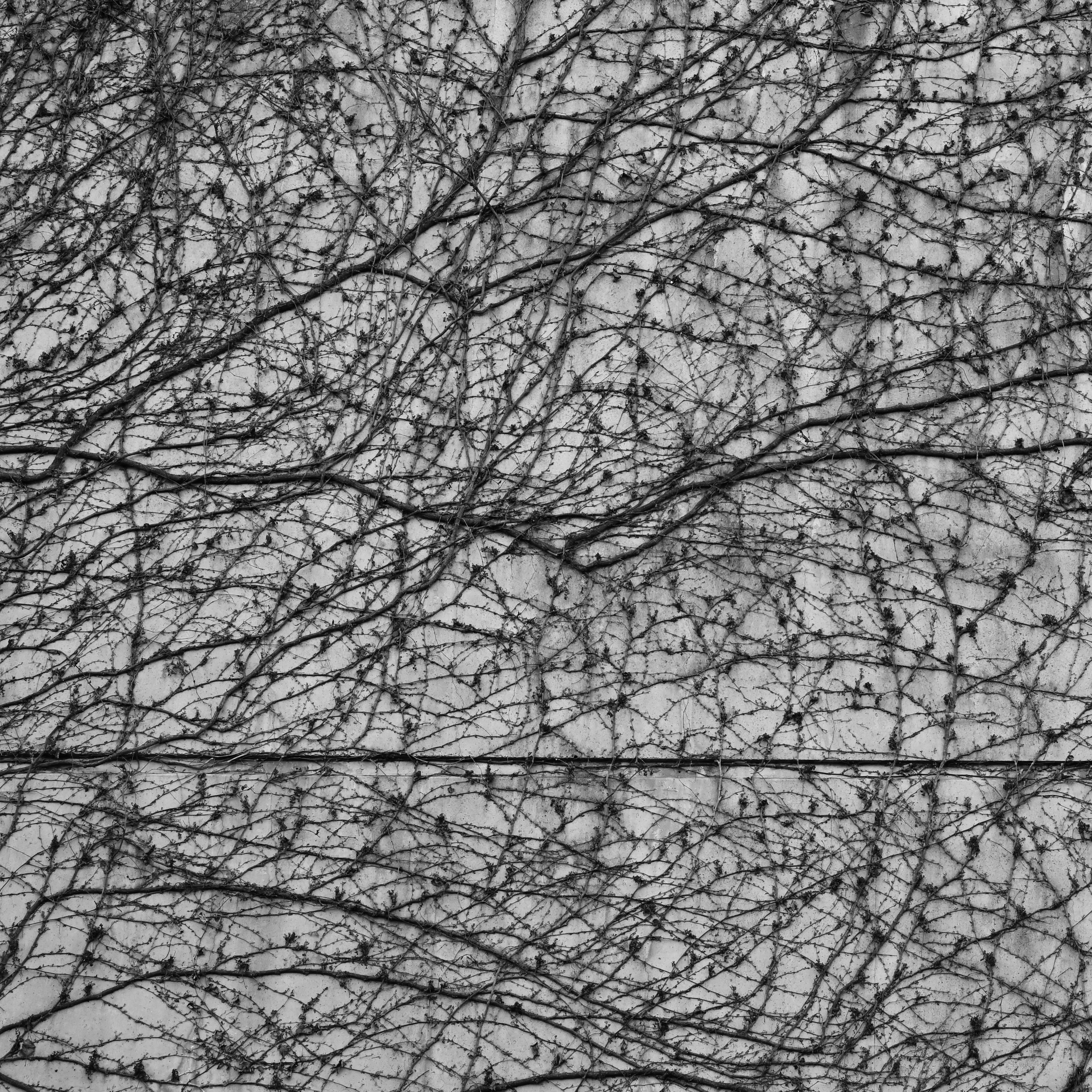 The Link Between Cognitive Decline and Hearing Loss