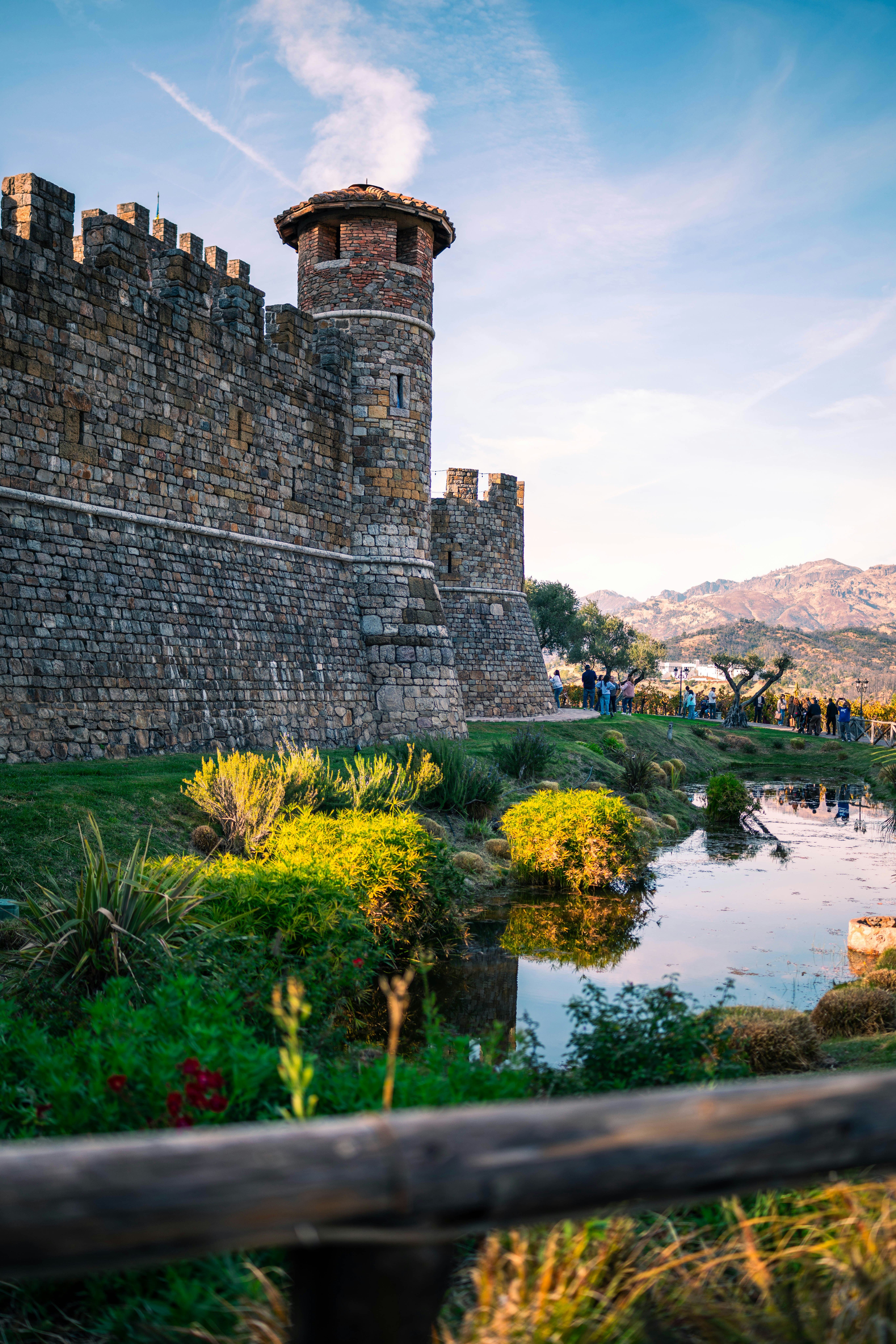 A castle with a pond in front of it