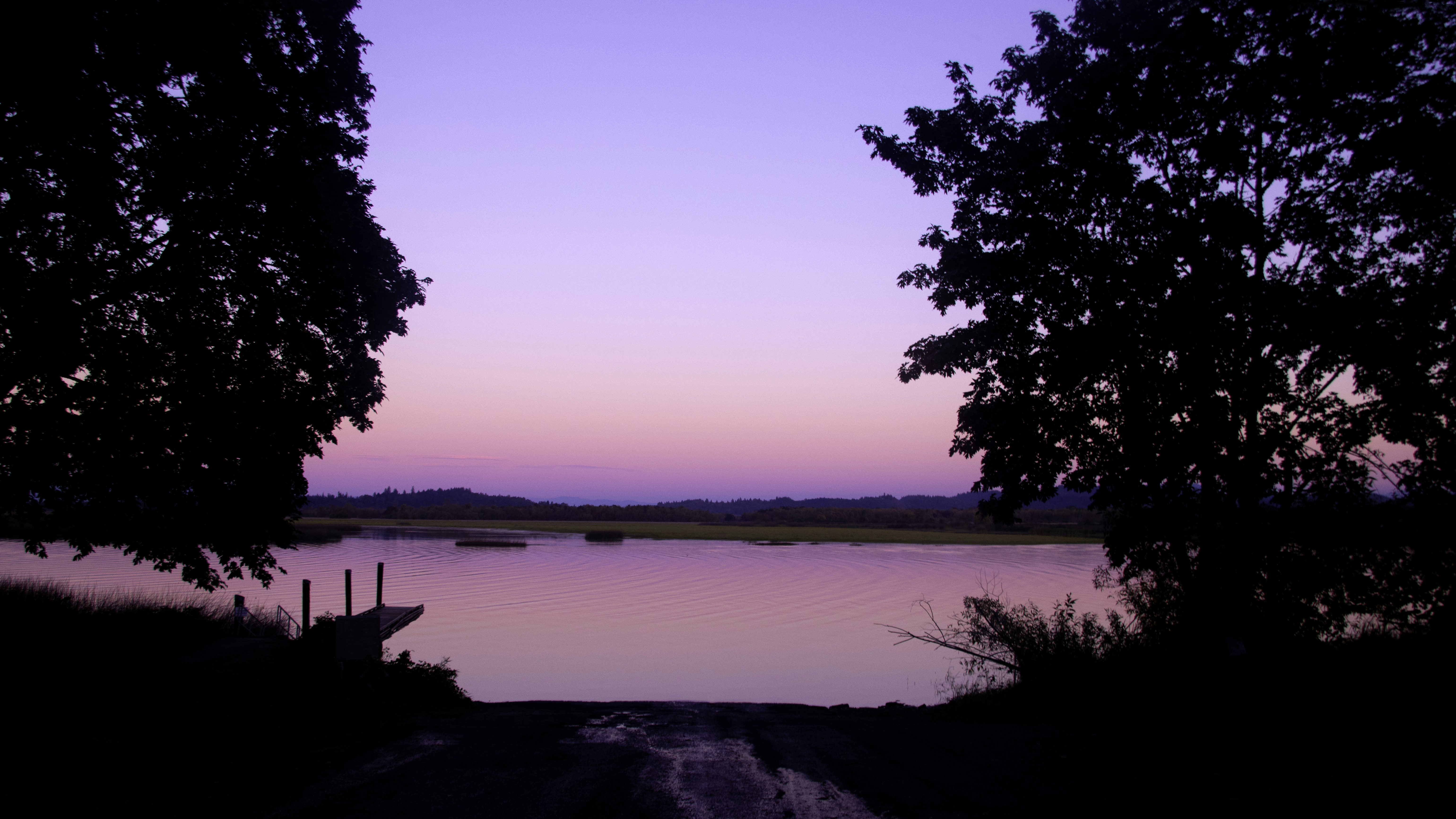 A view of a body of water with trees in the foreground