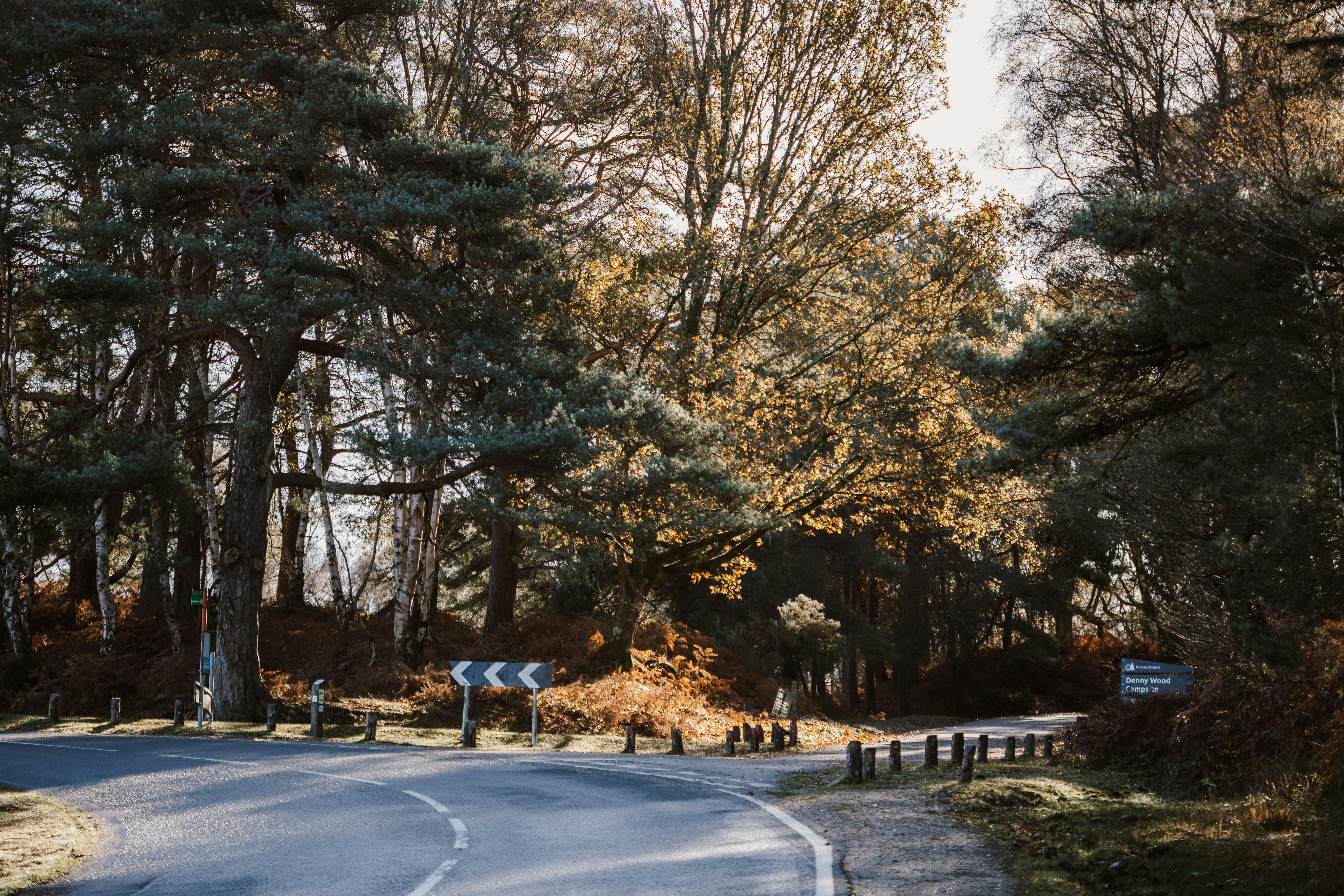 Photo by anniespratt