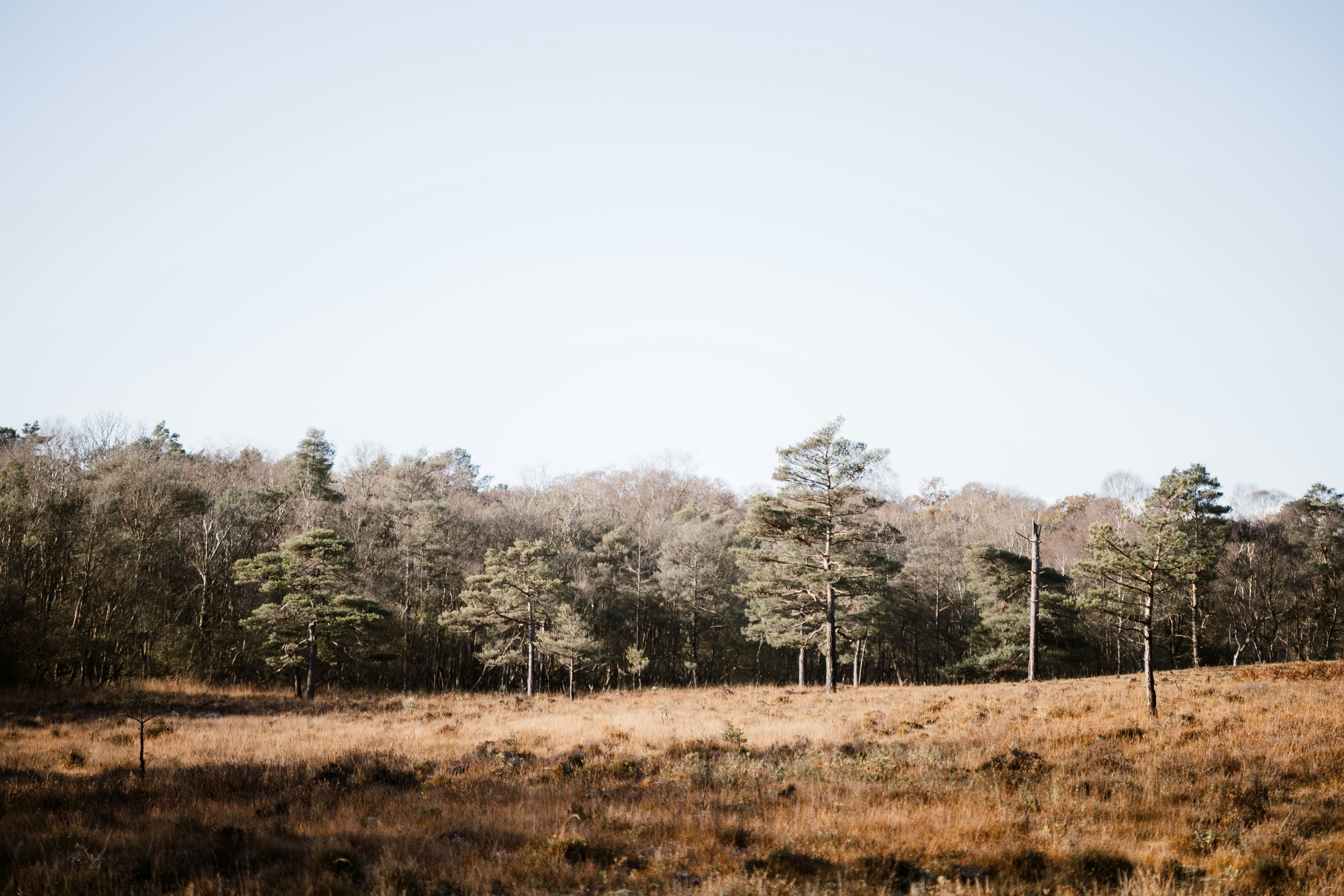 Photo by anniespratt