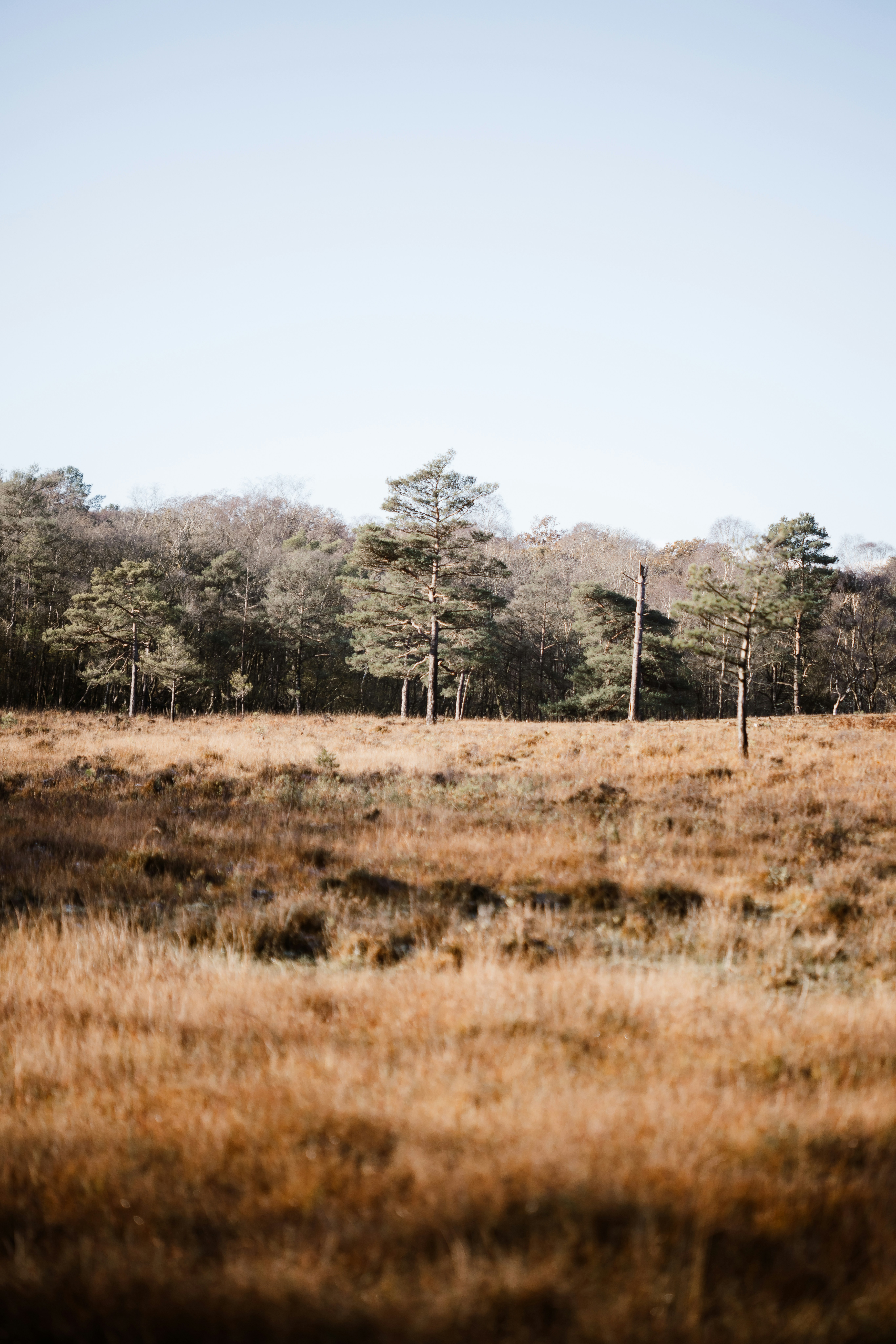 Photo by anniespratt