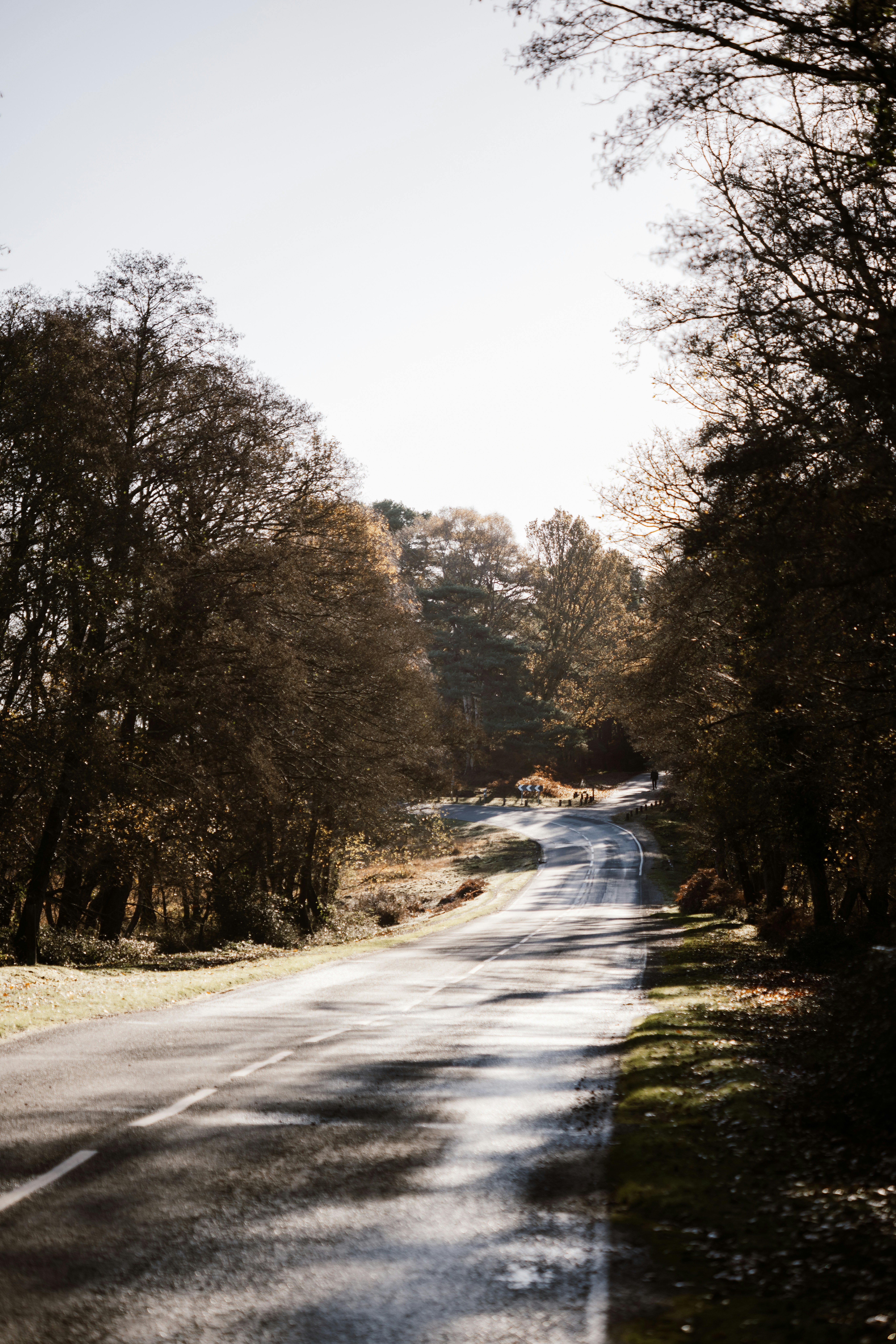 Photo by anniespratt