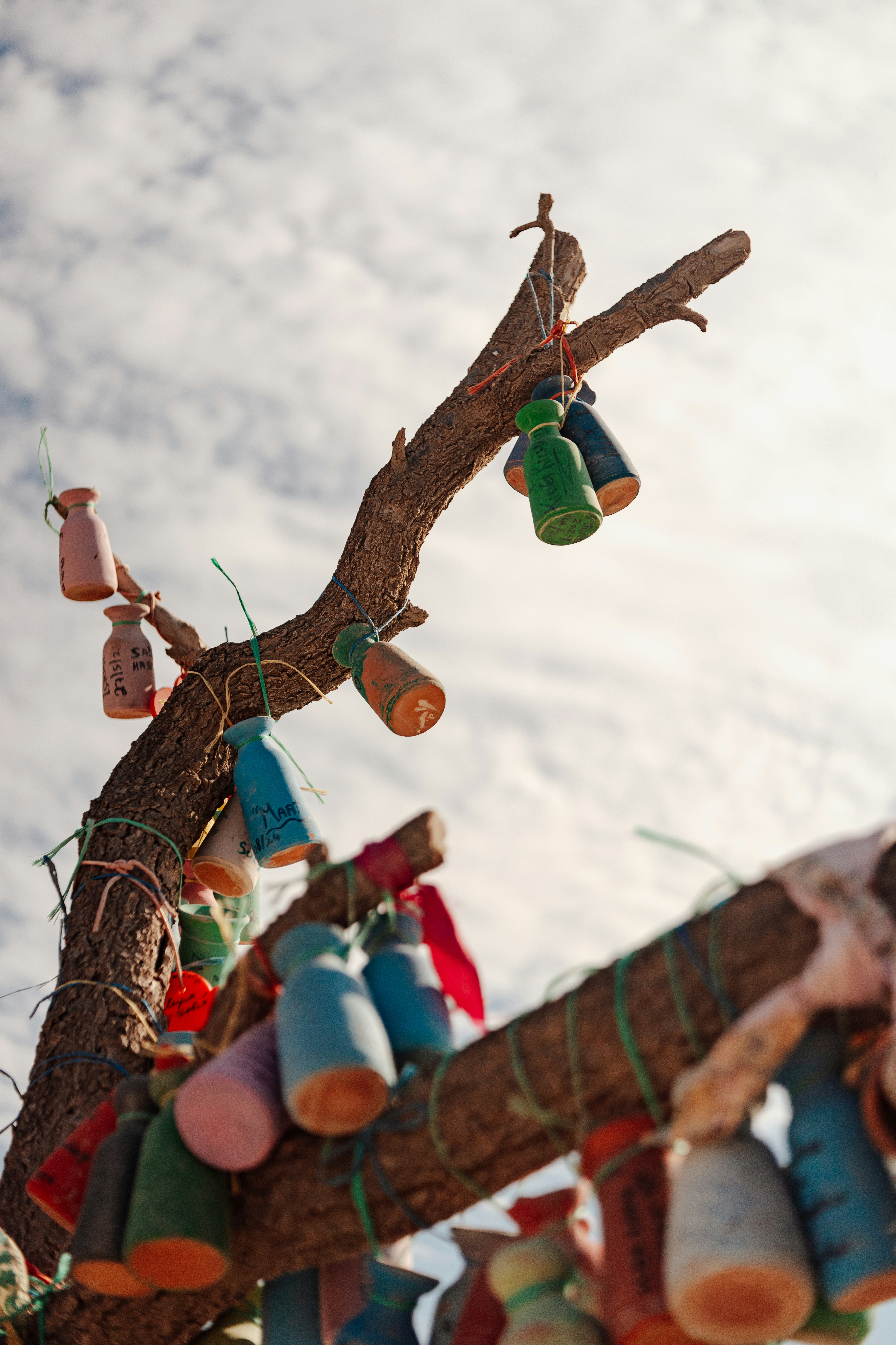 Photo by igorharrier