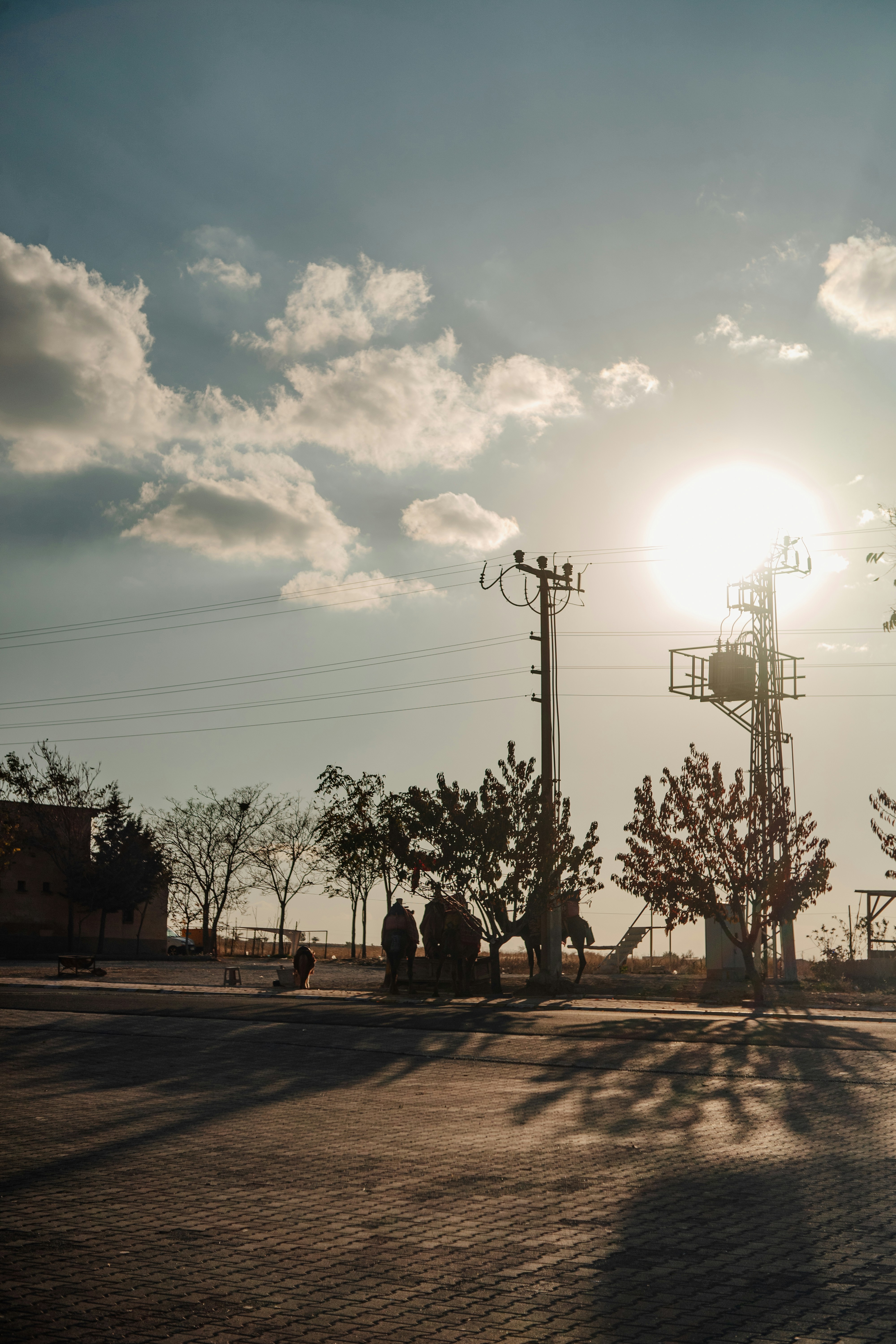 Photo by igorharrier