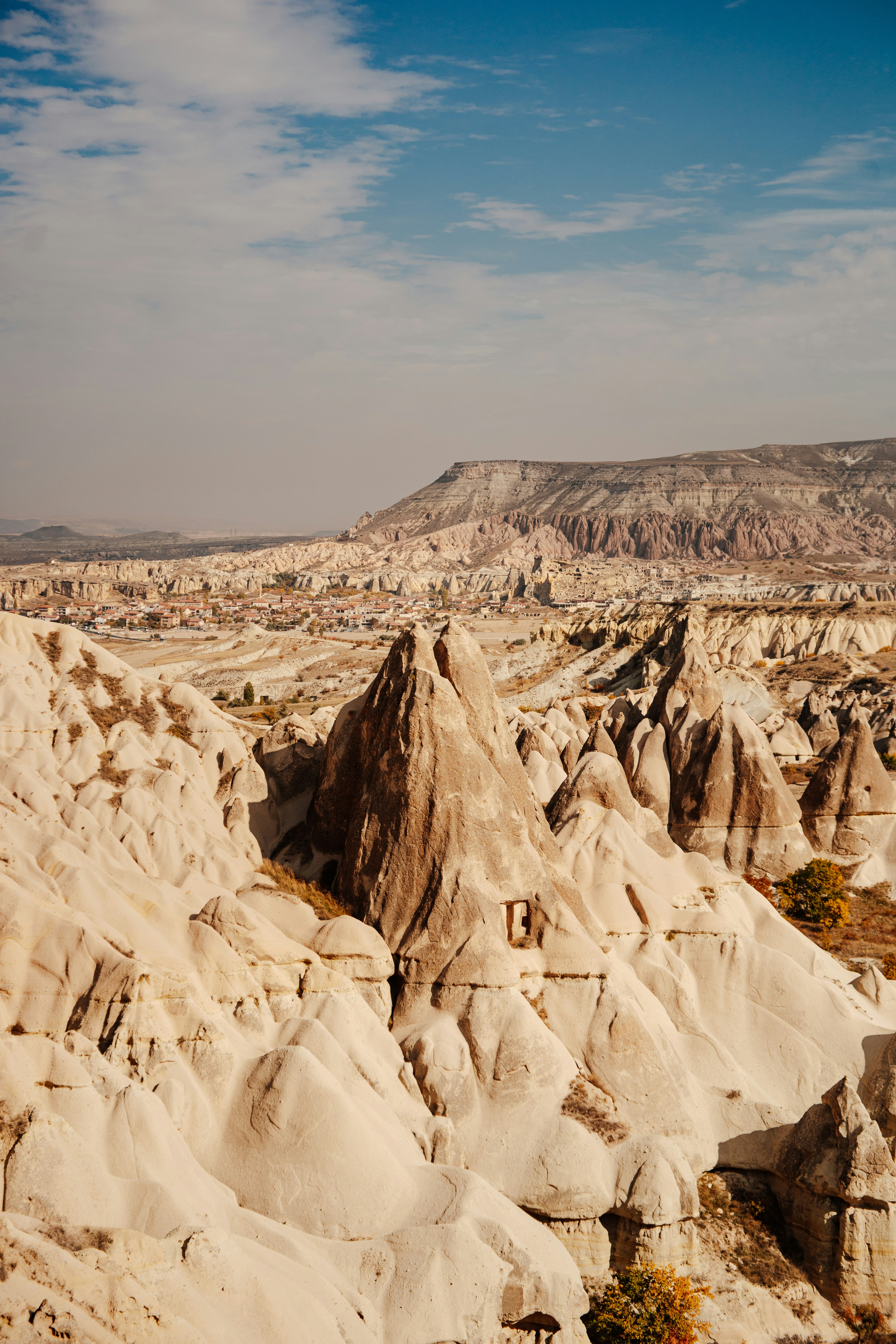 Photo by igorharrier