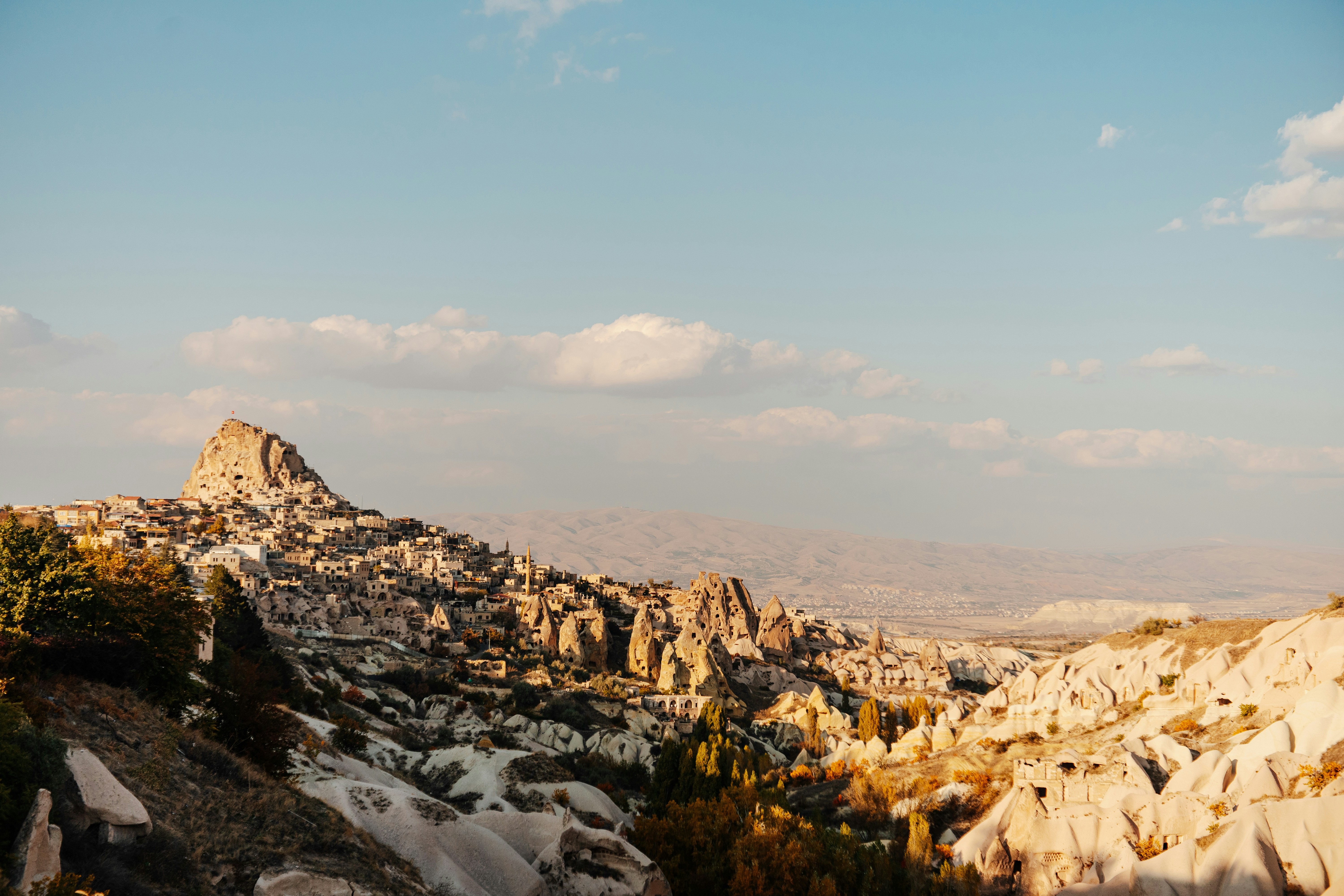 Photo by igorharrier