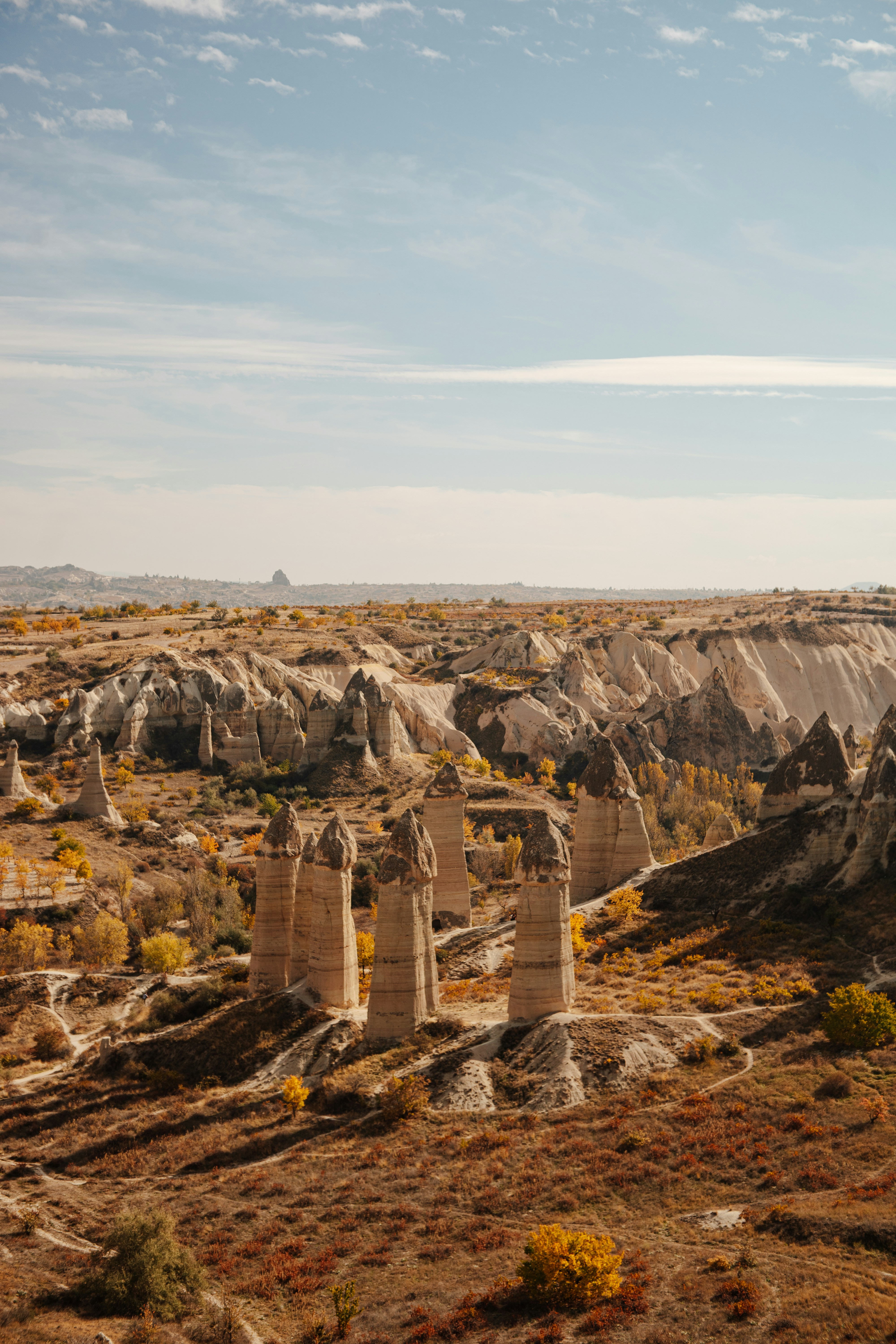 Photo by igorharrier