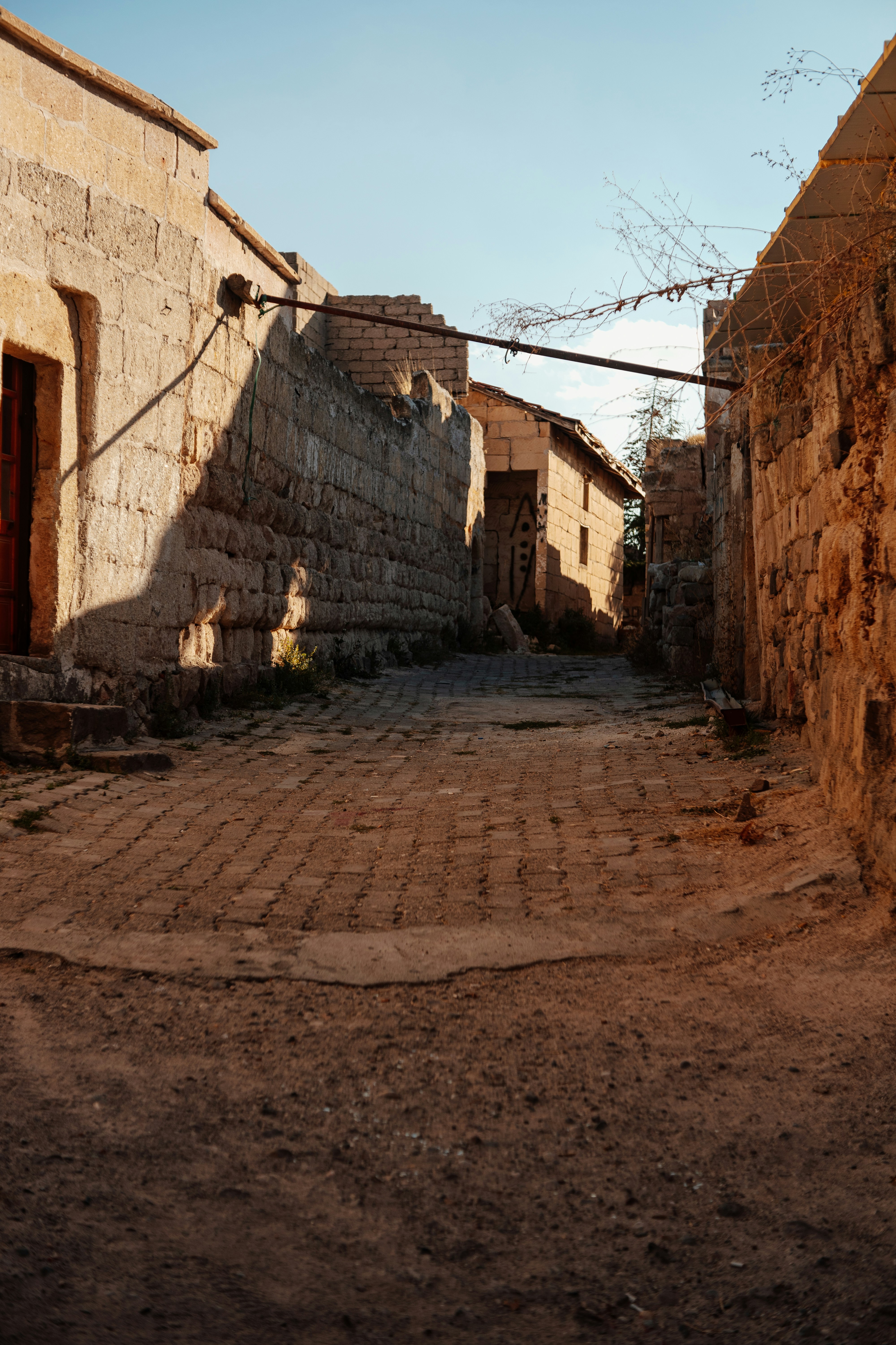 Photo by igorharrier