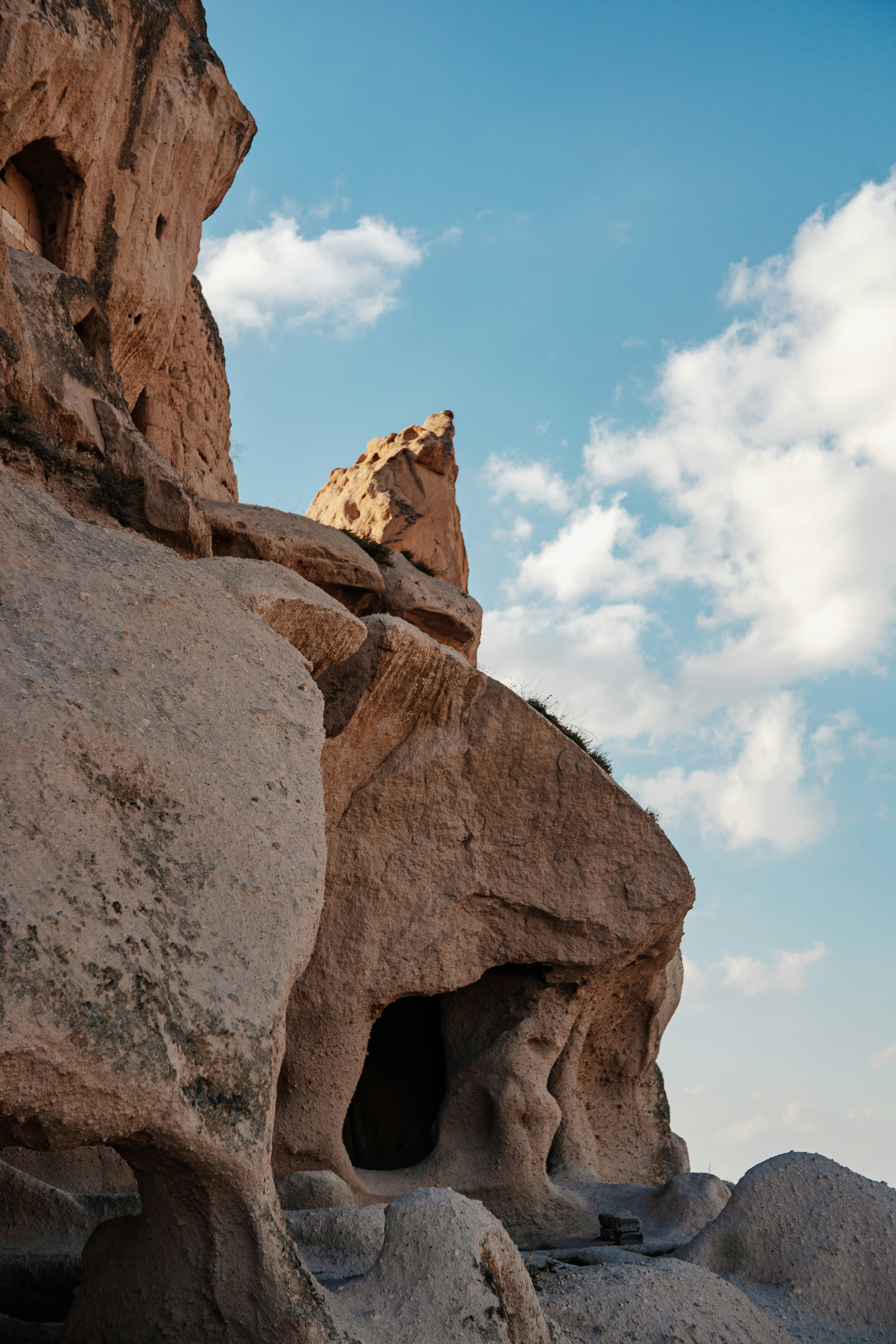 Photo by igorharrier