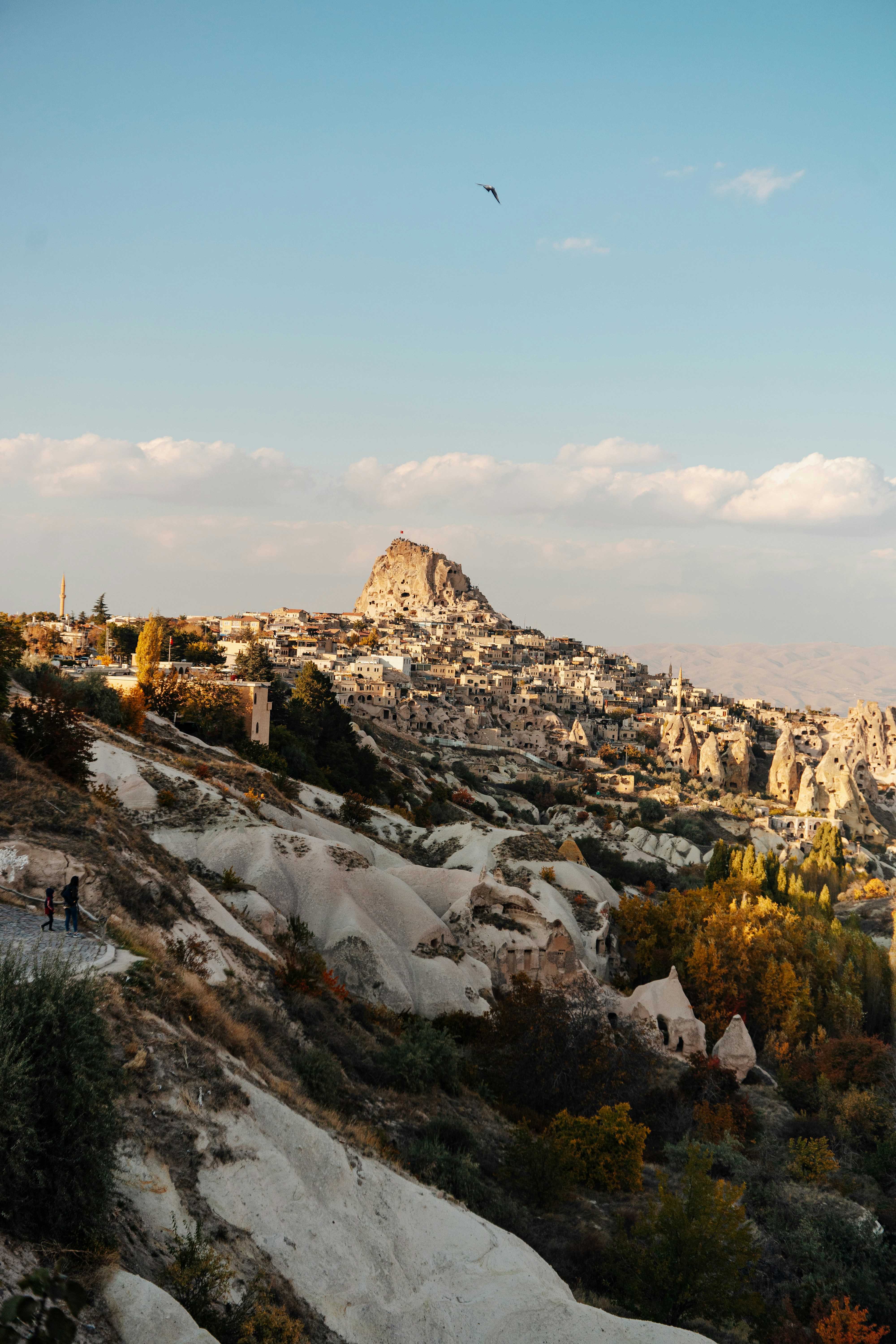 Photo by igorharrier