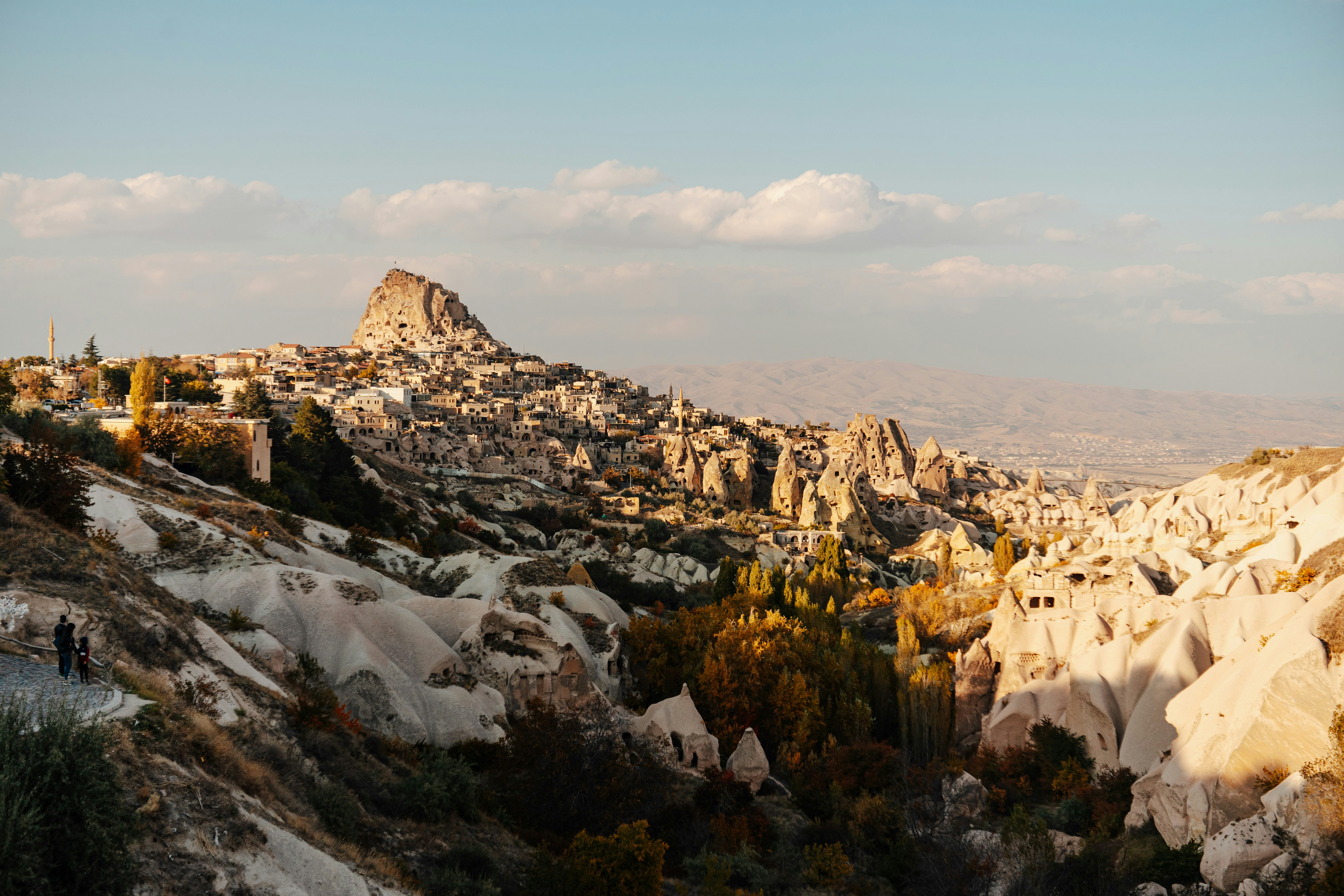 Photo by igorharrier