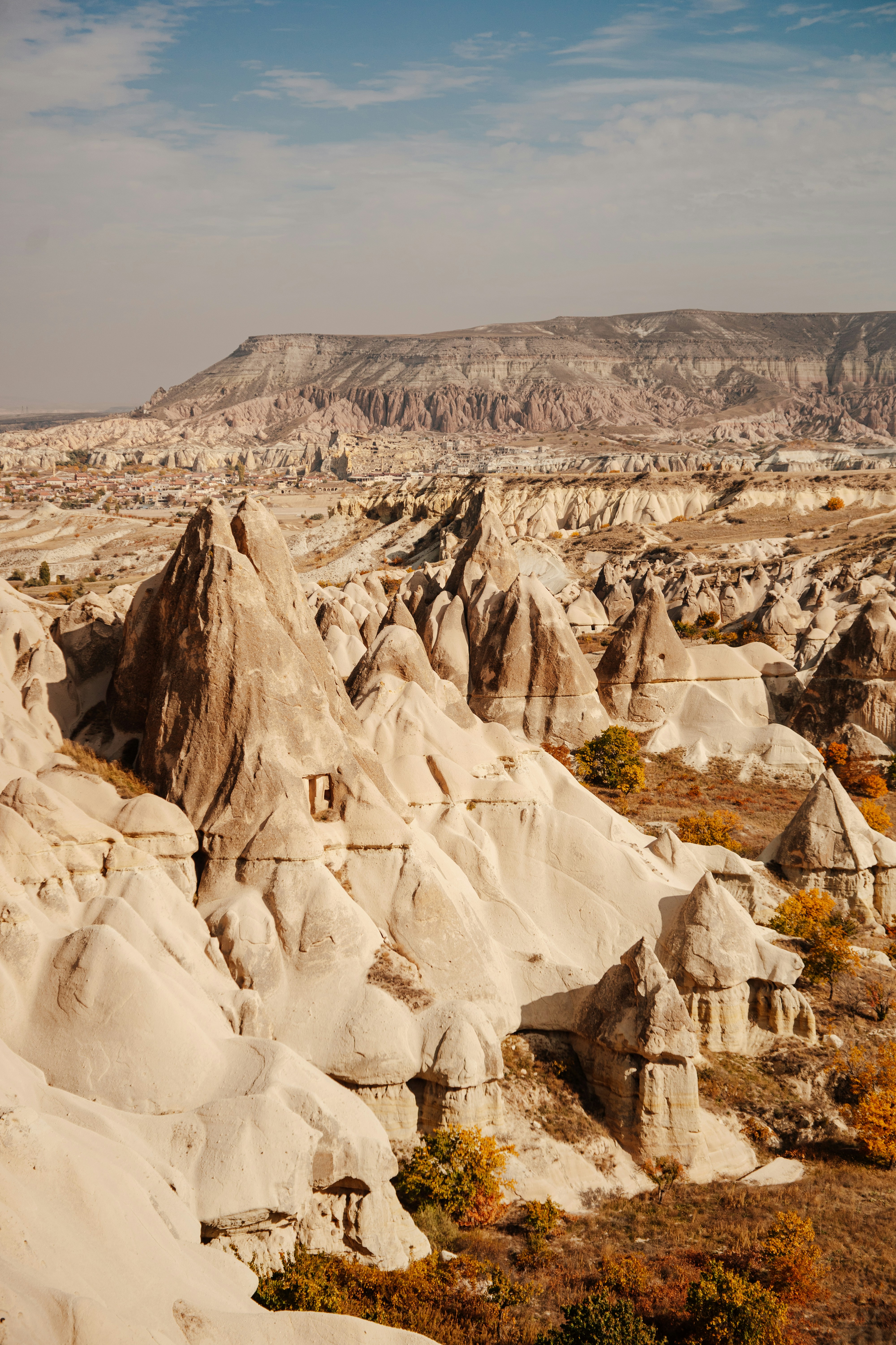 Photo by igorharrier