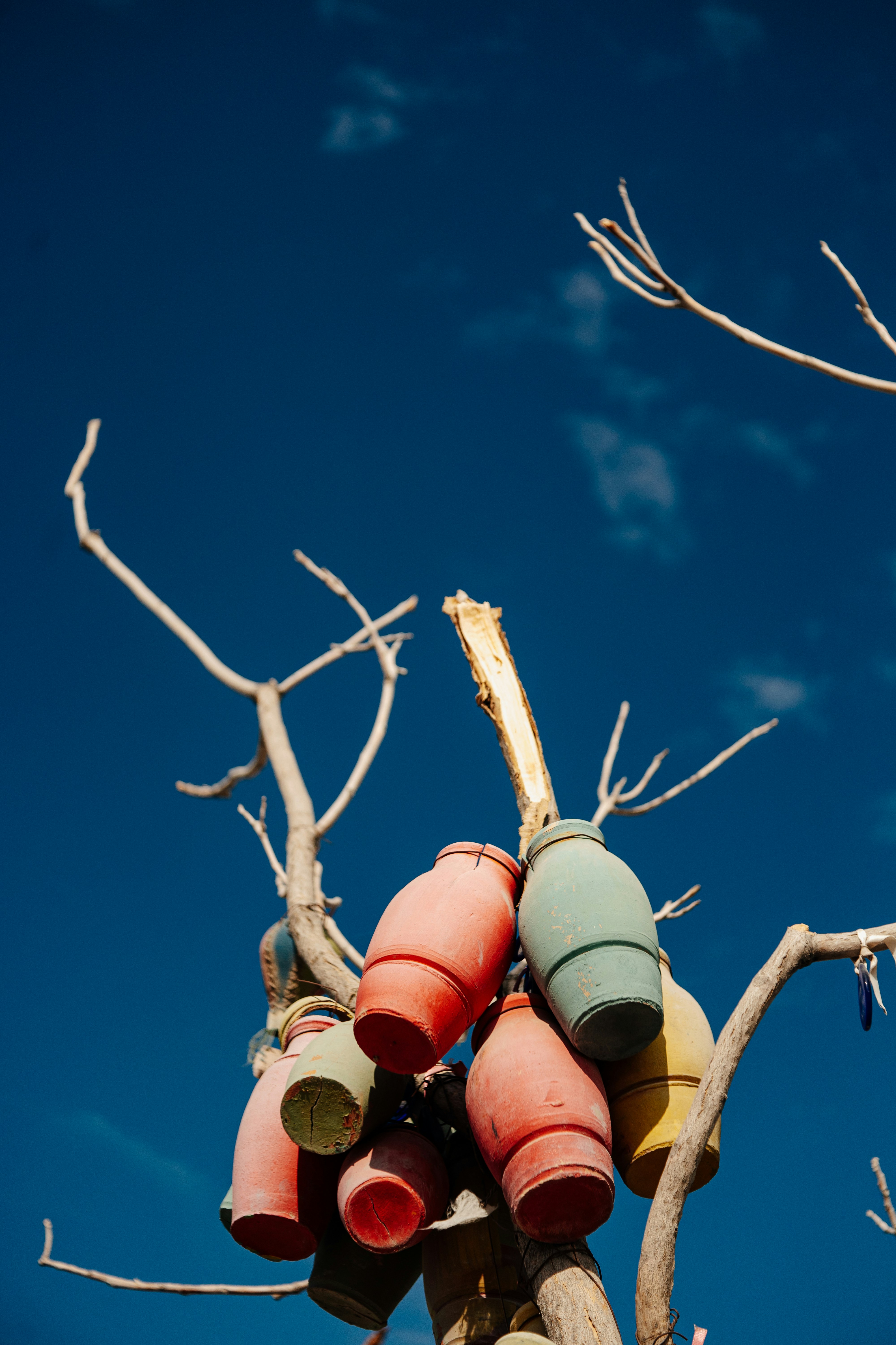 Photo by igorharrier