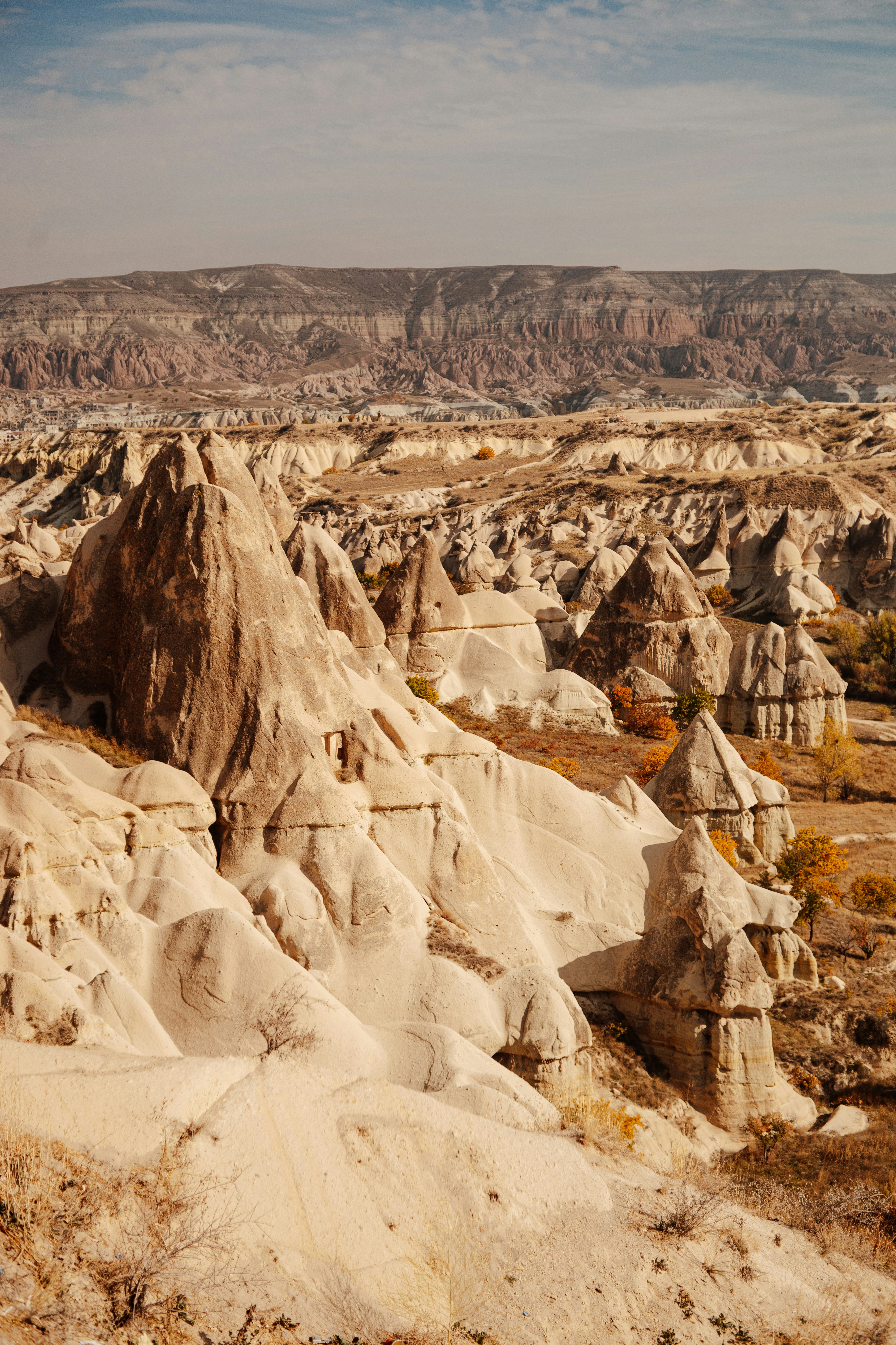 Photo by igorharrier