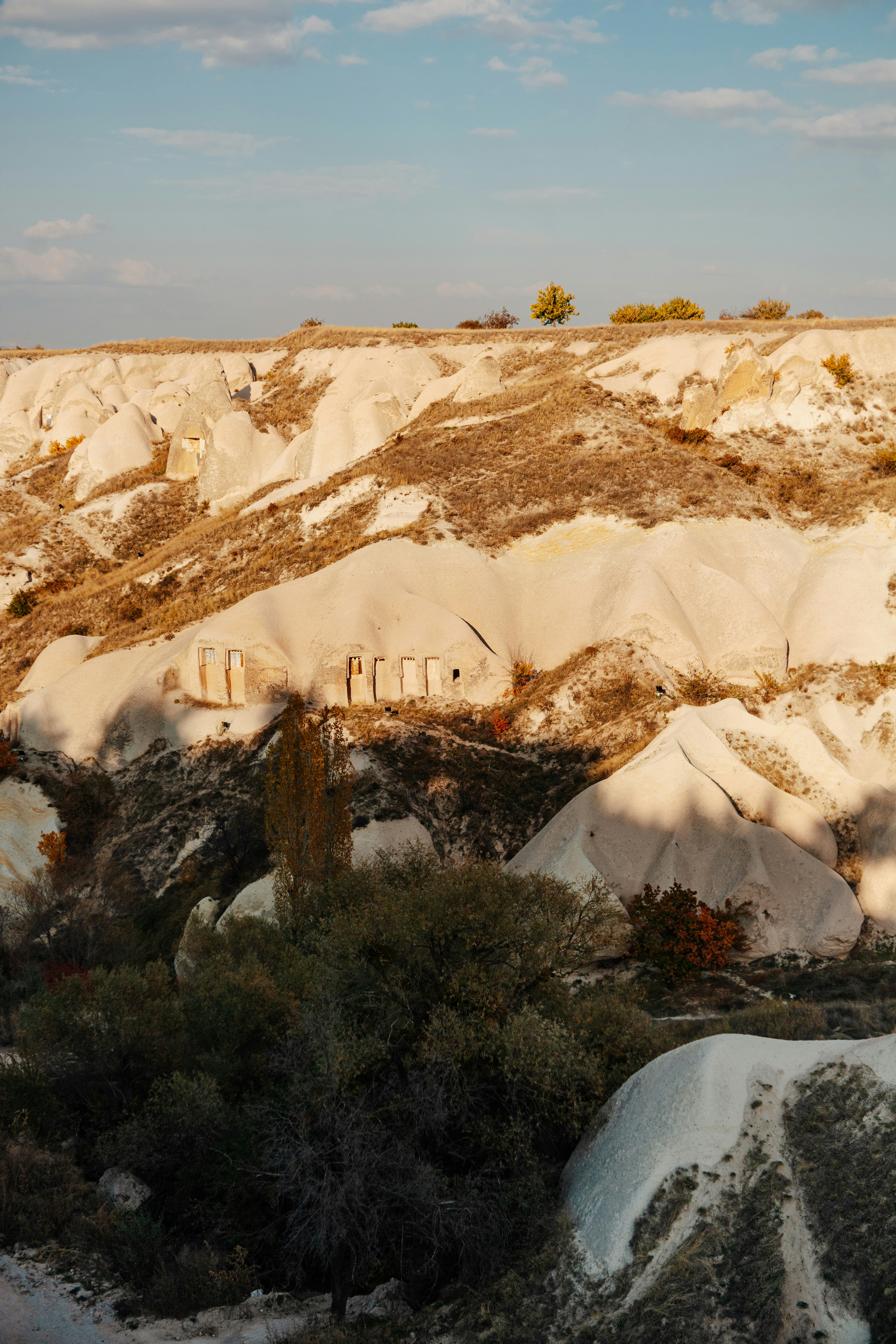 Photo by igorharrier