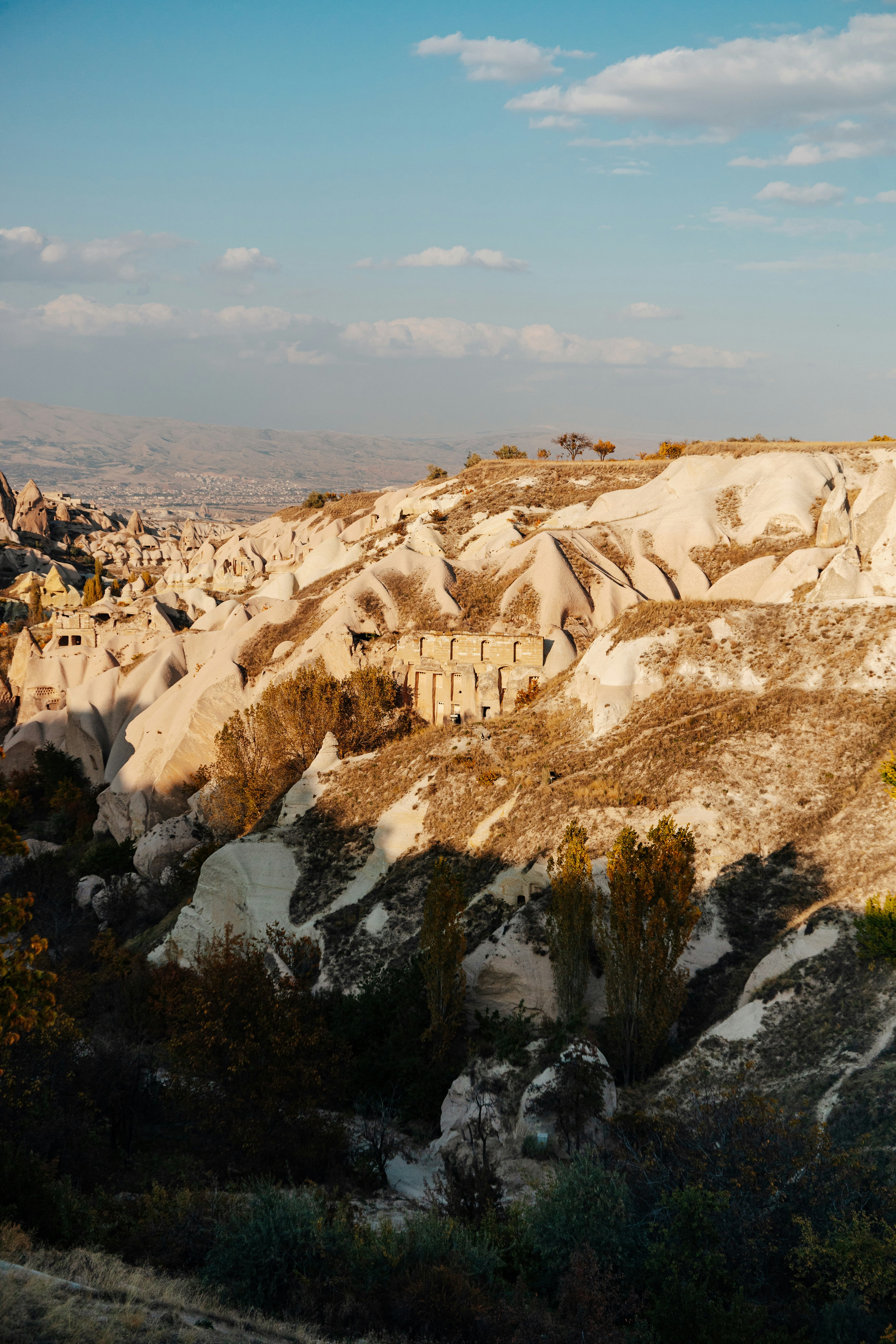 Photo by igorharrier