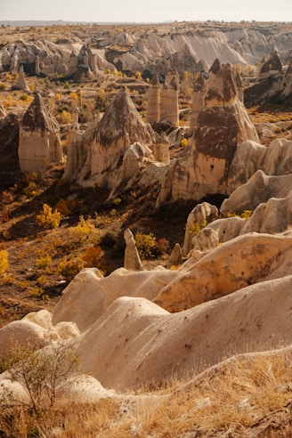 A large group of rock formations in the desert