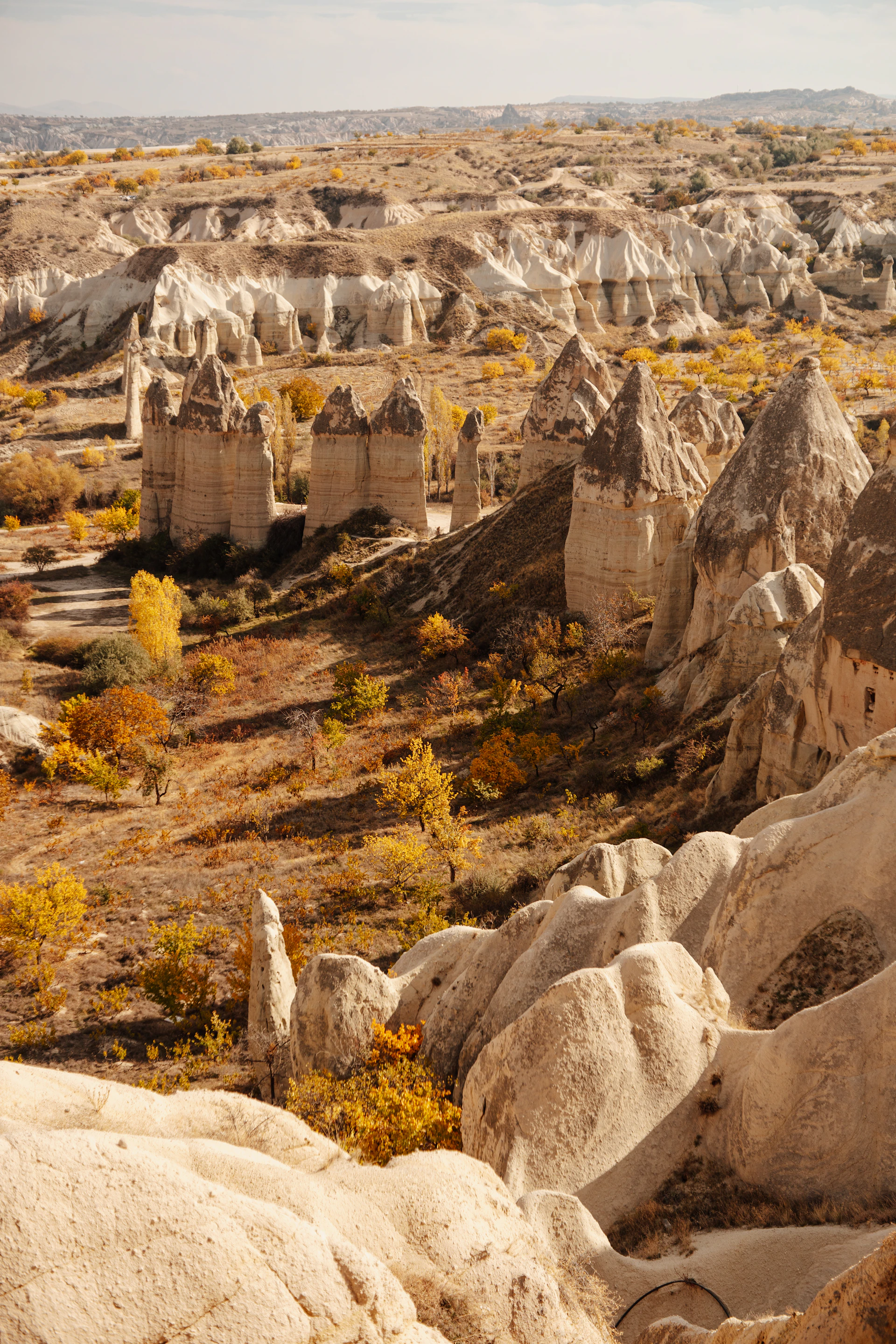A view of a rocky landscape in the desert