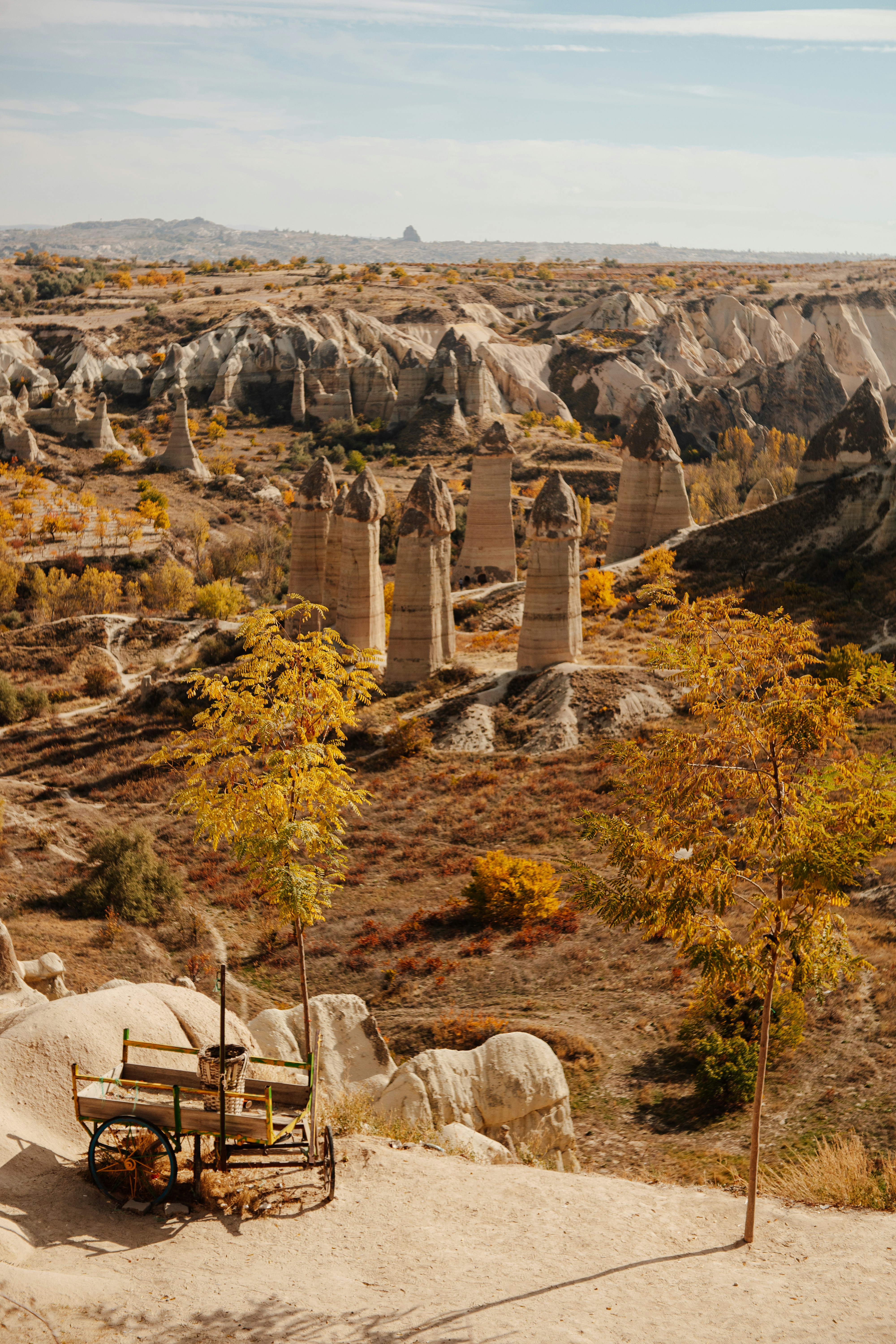 Photo by igorharrier