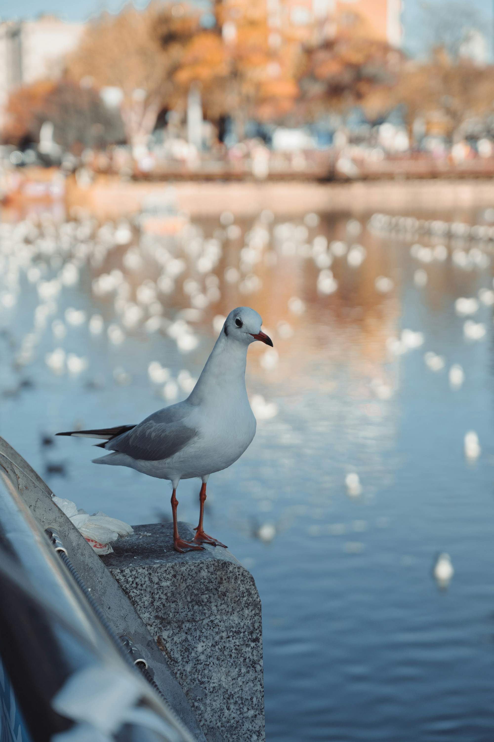 Photo by vincent_tint