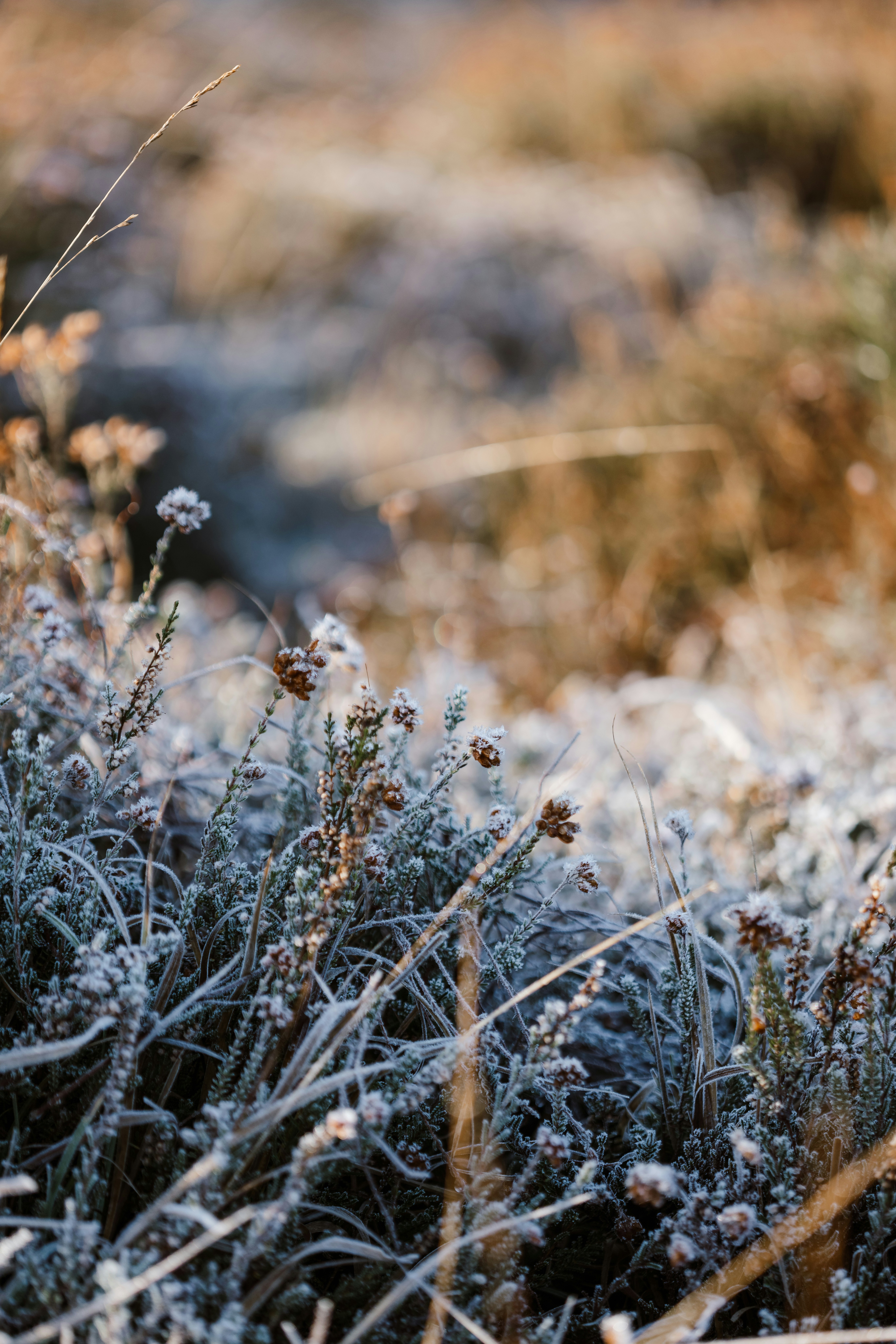 Photo by anniespratt